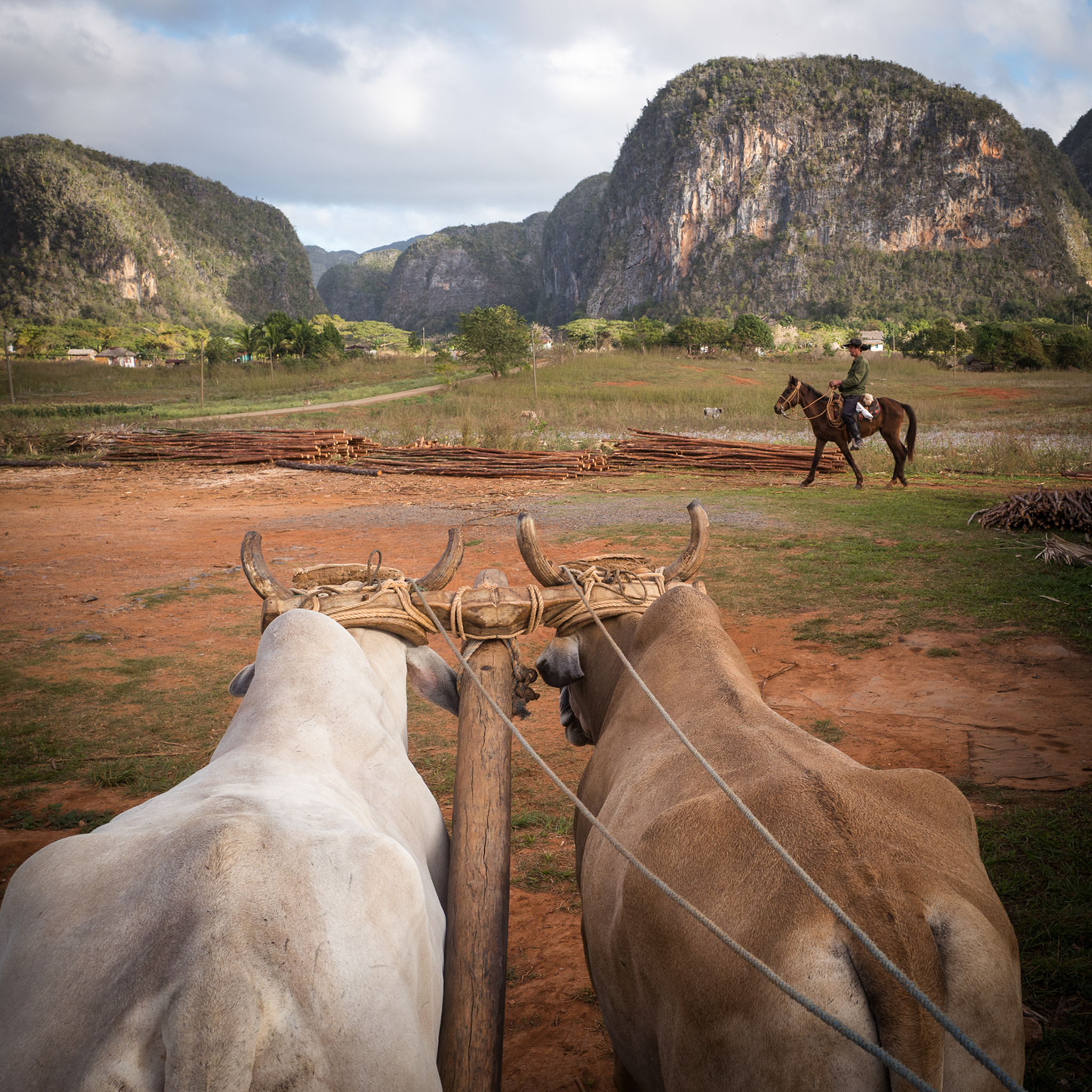 Rural Life- Collection: Cuba