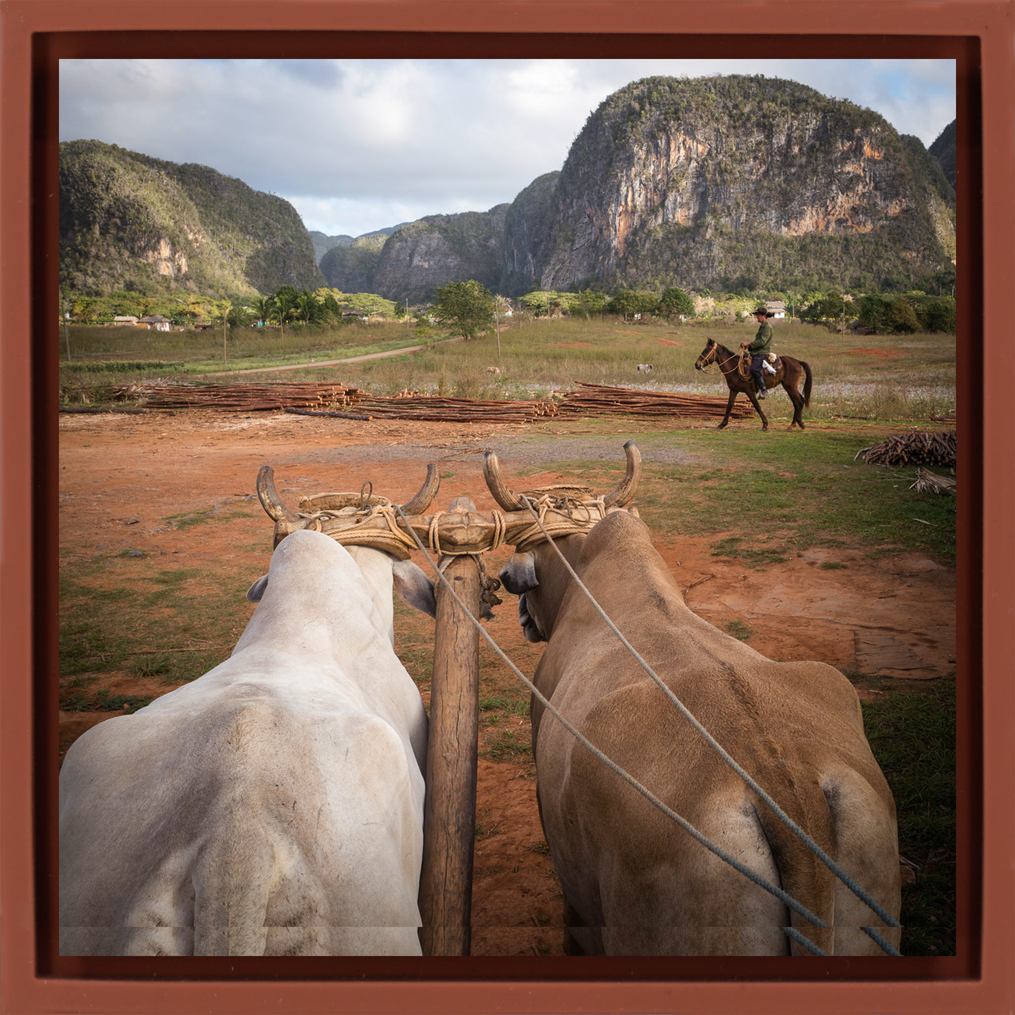 Rural Life- Terra Wrapp