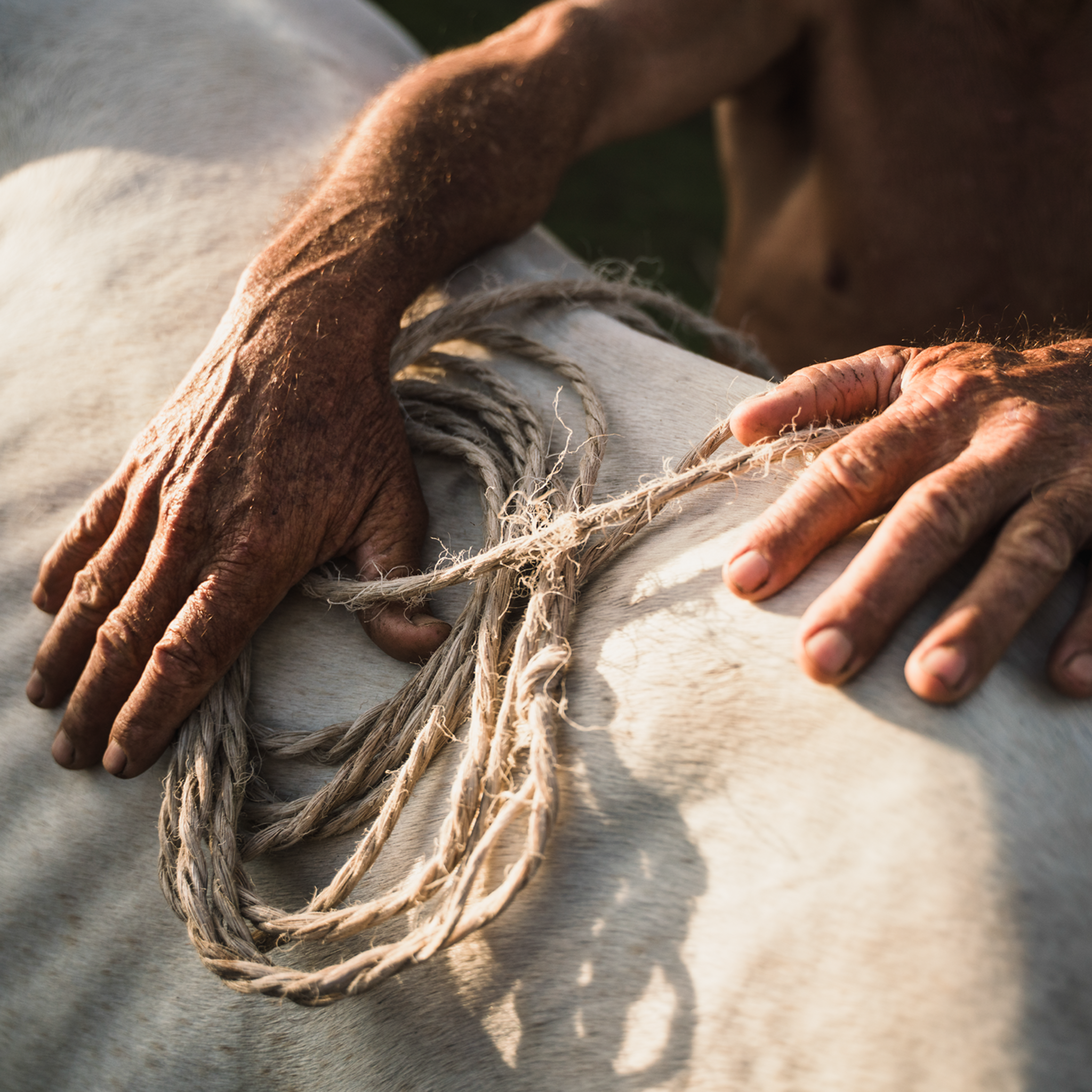 Campesino- Collection: Cuba