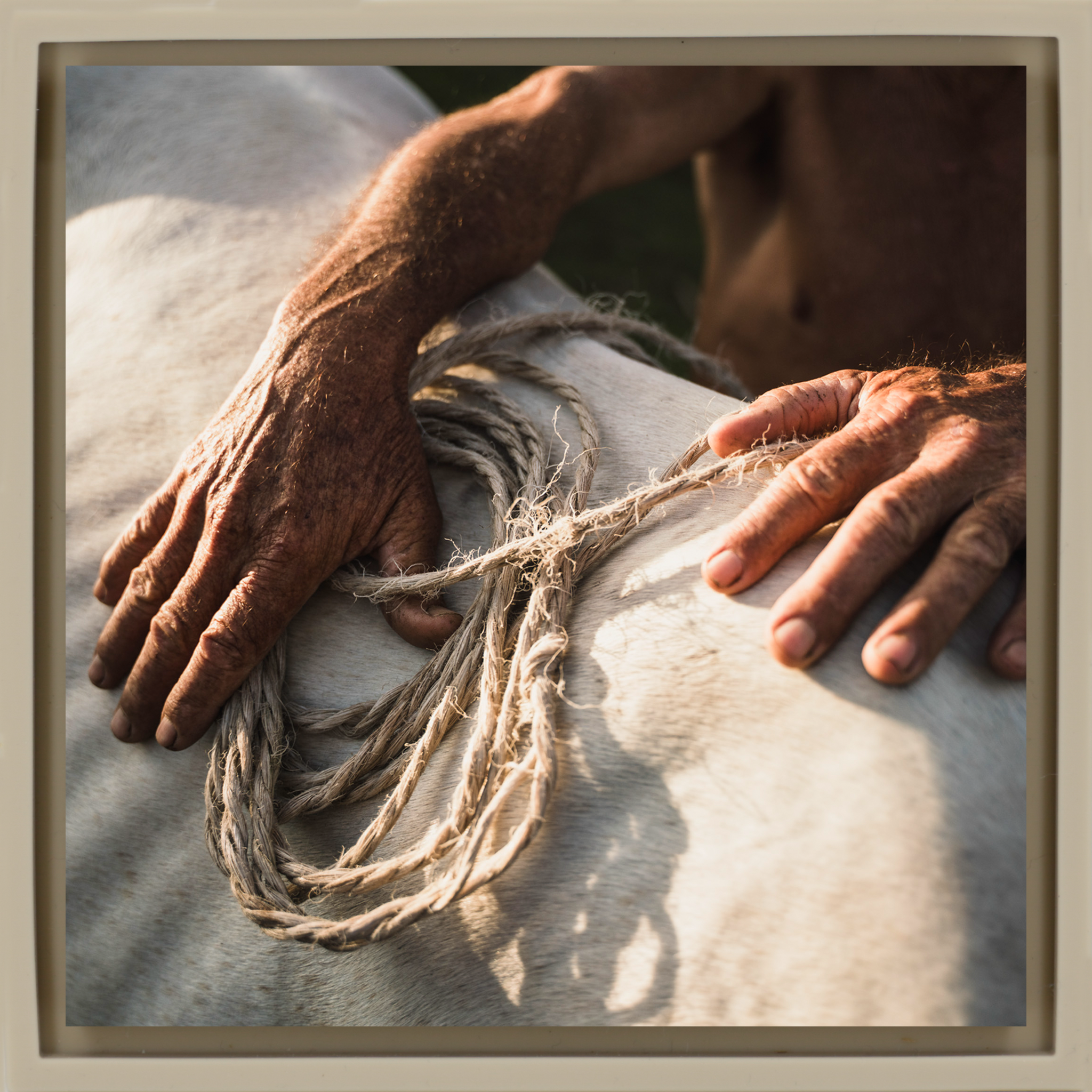 Campesino- Sand Wrapp