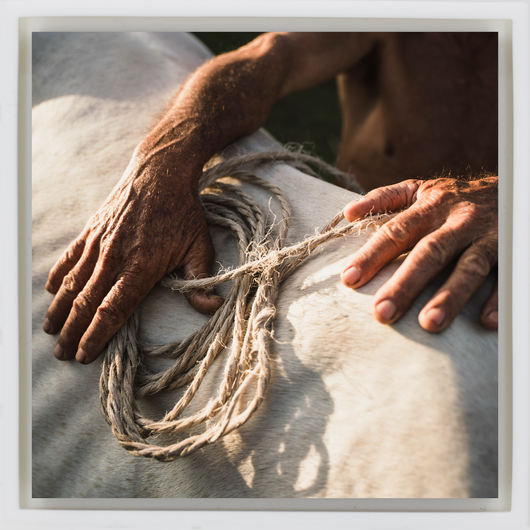 Campesino- White Wrapp