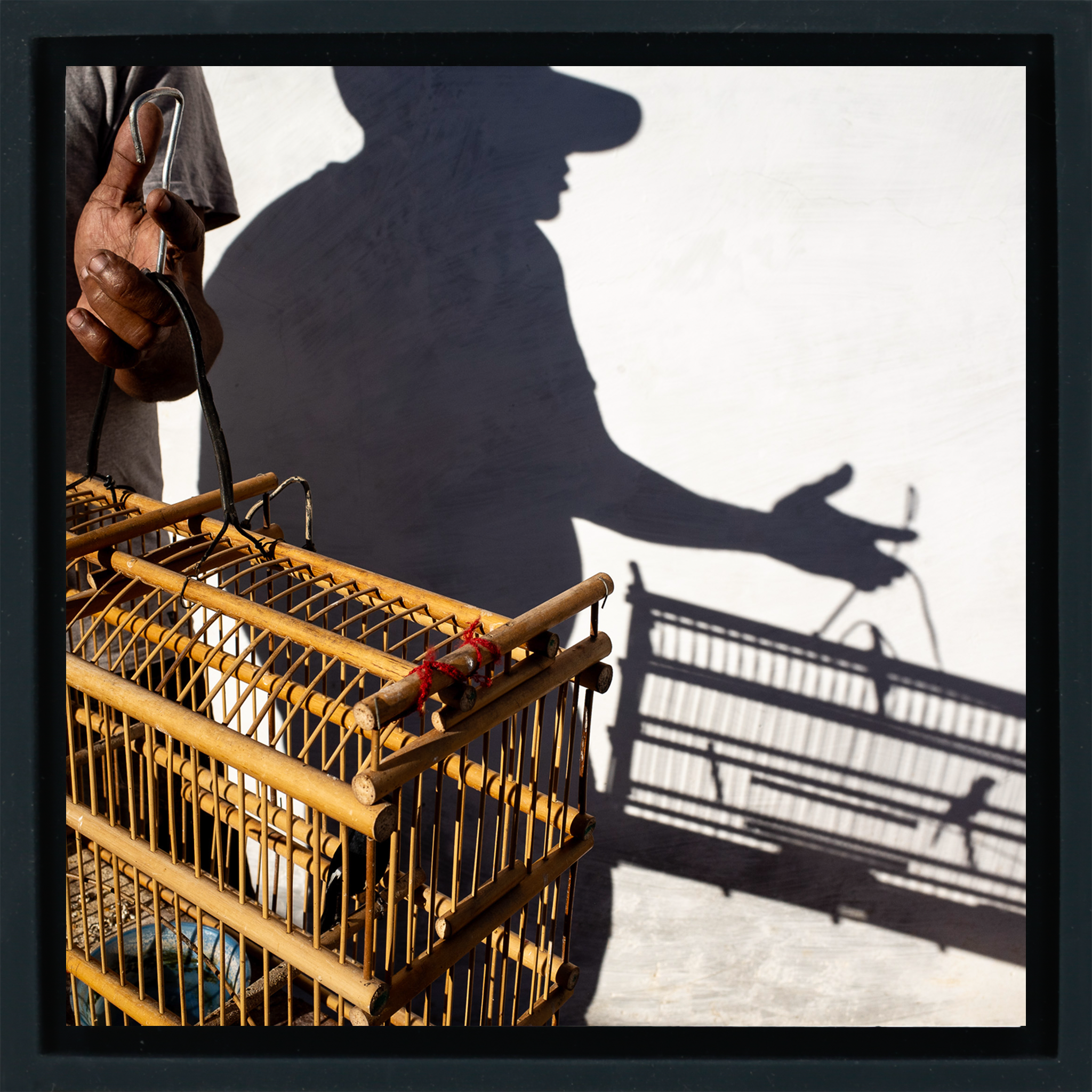 Birds, A Cuban Passion - Zwarte Wrapp