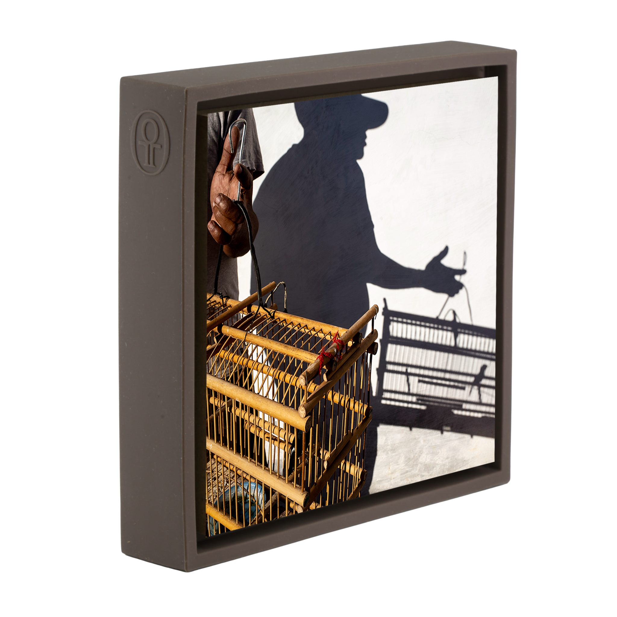 Birds, A Cuban Passion - Bruine Wrapp