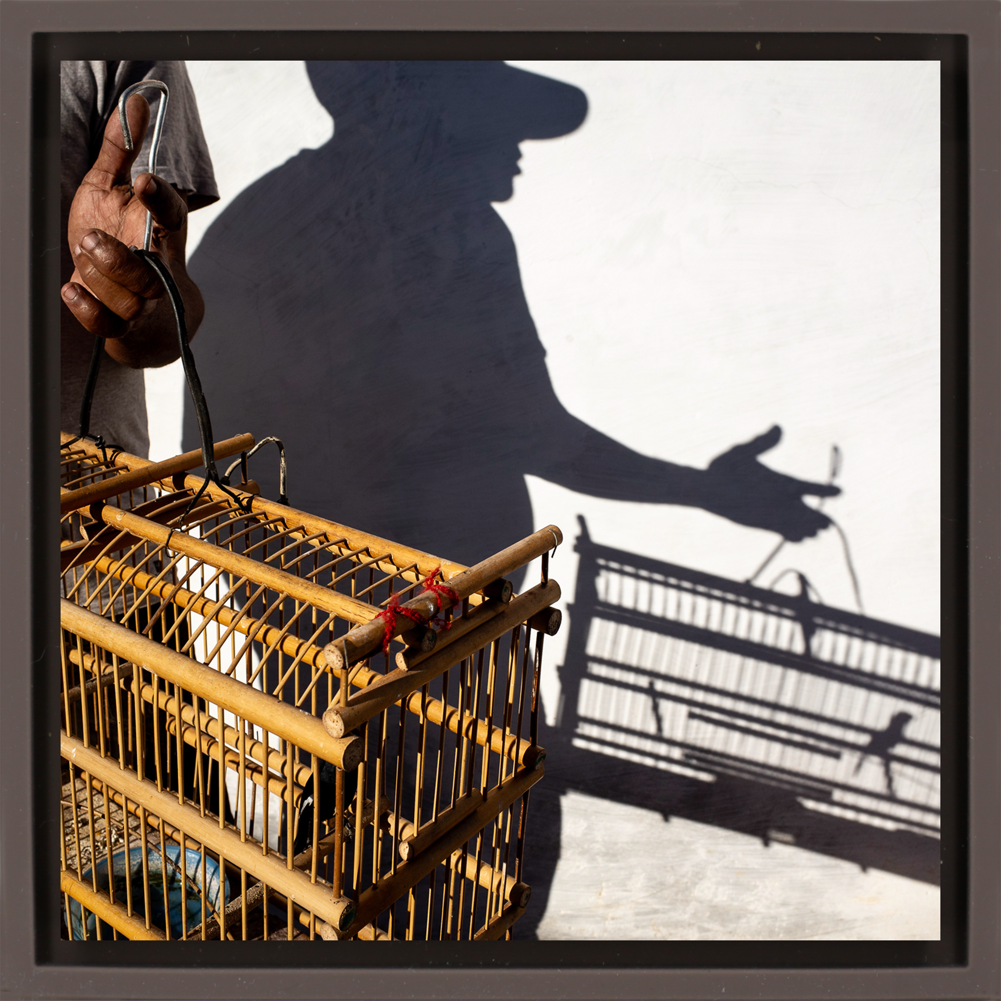 Birds, A Cuban Passion - Bruine Wrapp