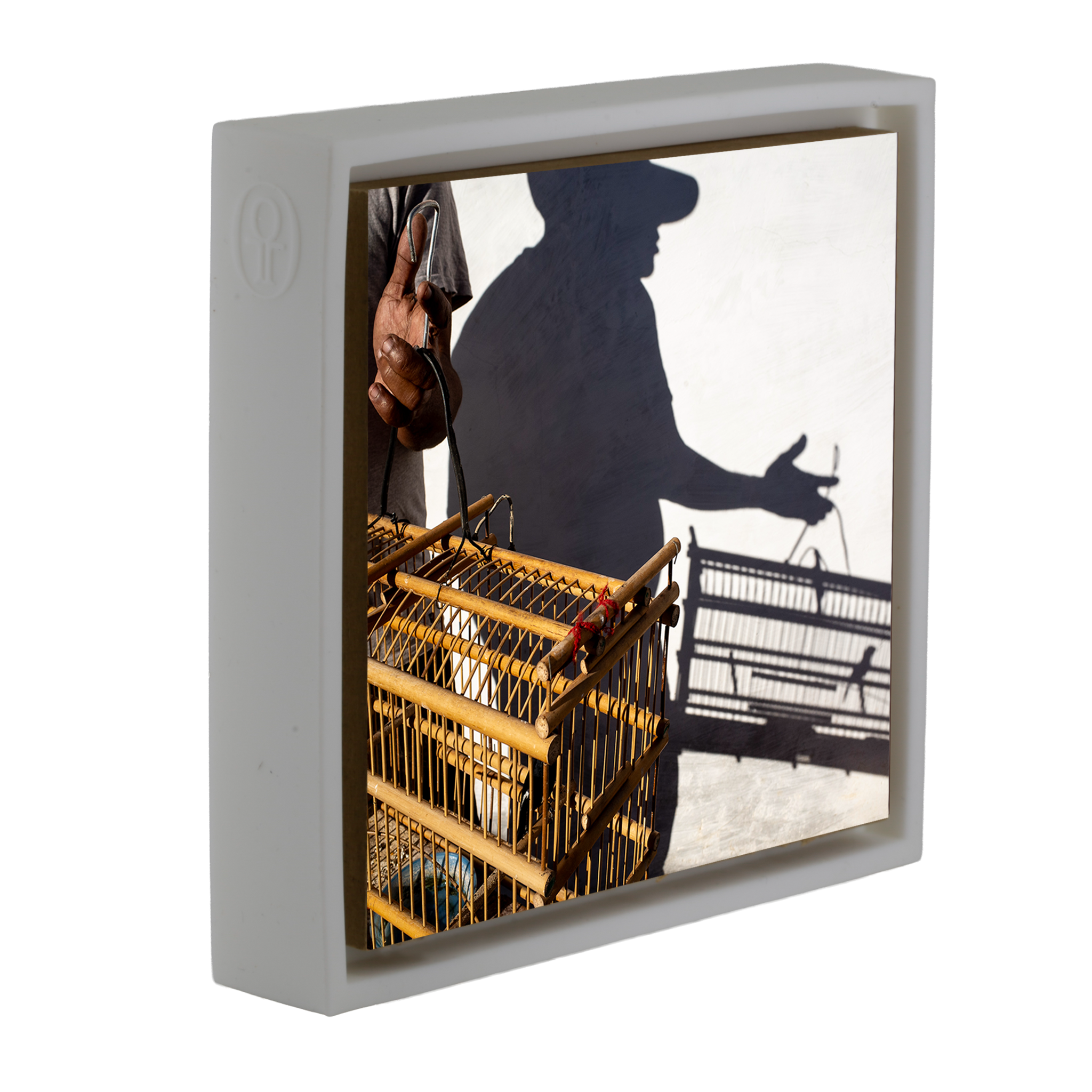 Birds, A Cuban Passion - Witte Wrapp