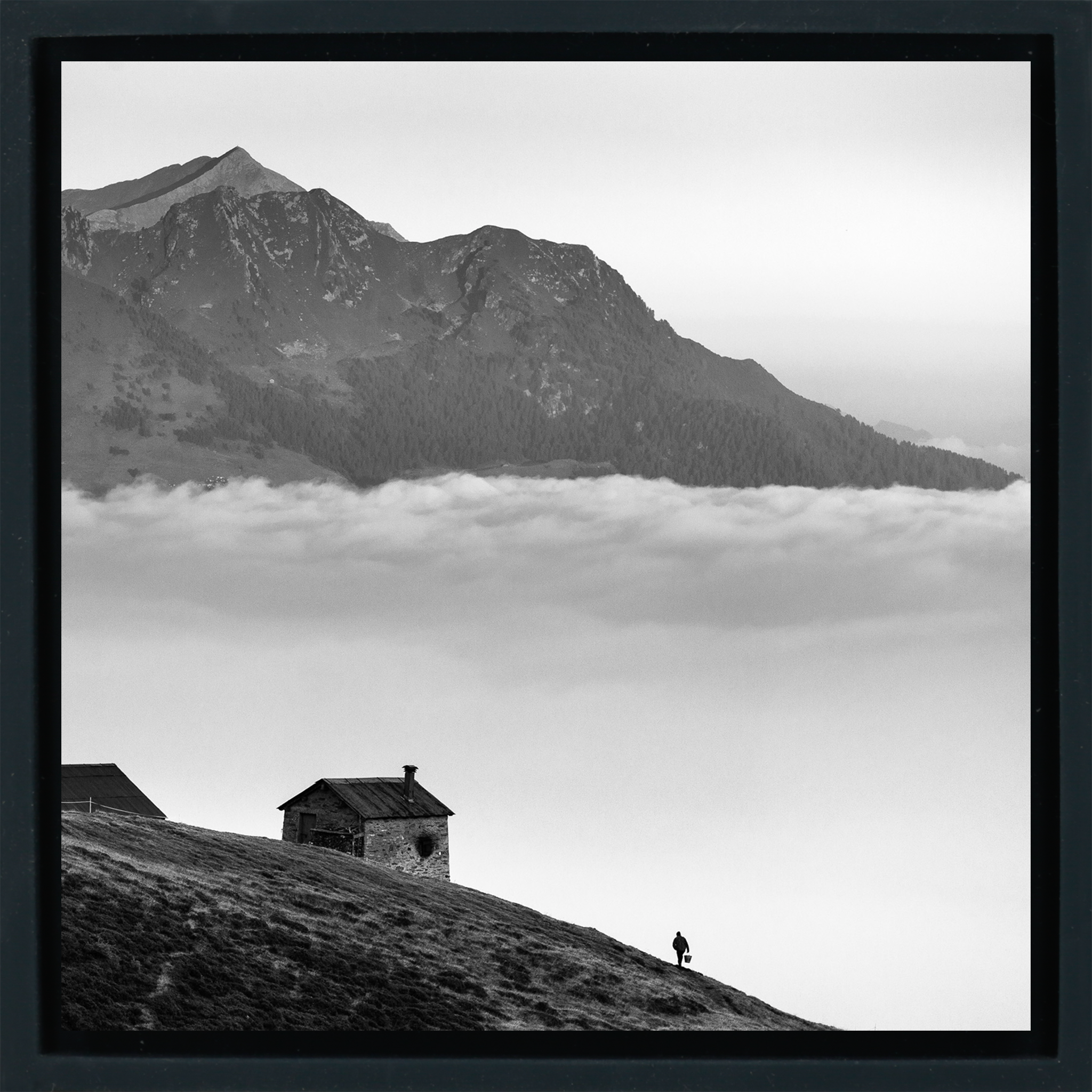 Valtellina- Black Wrapp