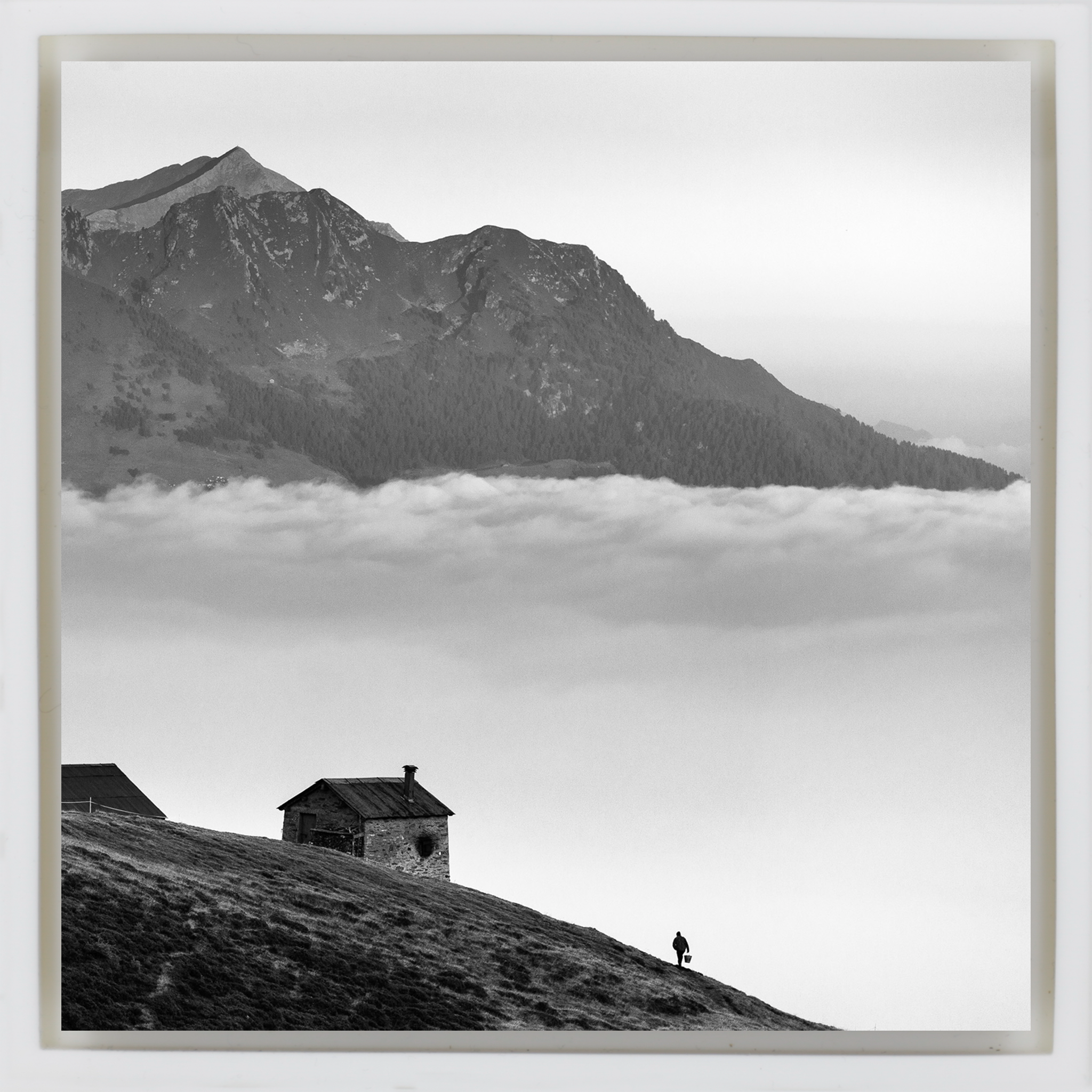 Valtellina- White Wrapp