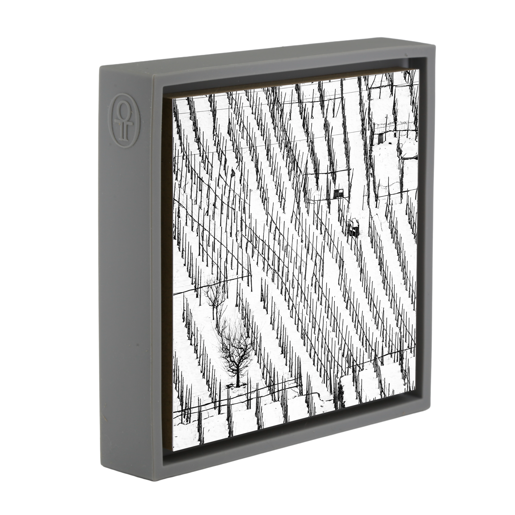 Winter Vineyards- Grey Wrapp