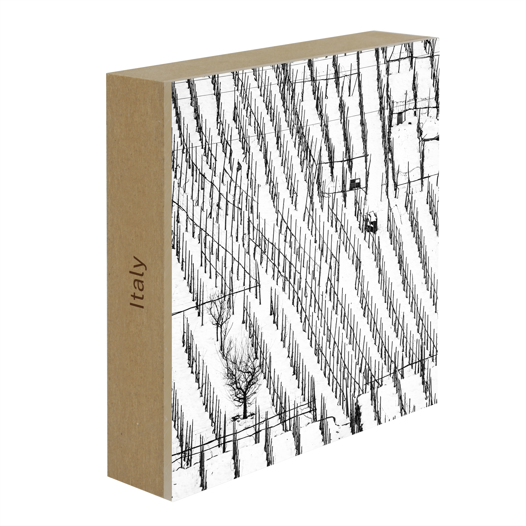 Winter Vineyards- Collection: Italy