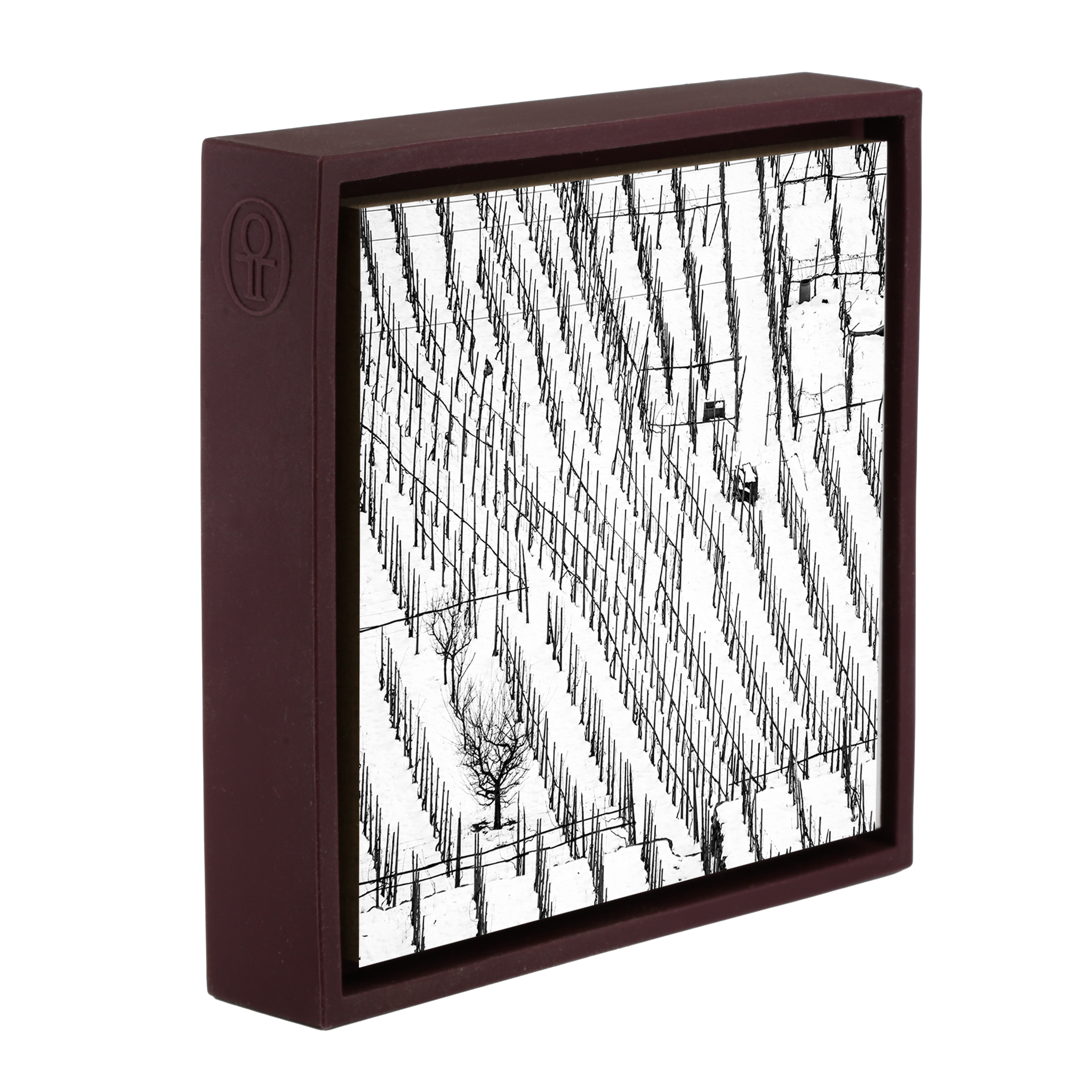 Winter Vineyards- Purple Wrapp