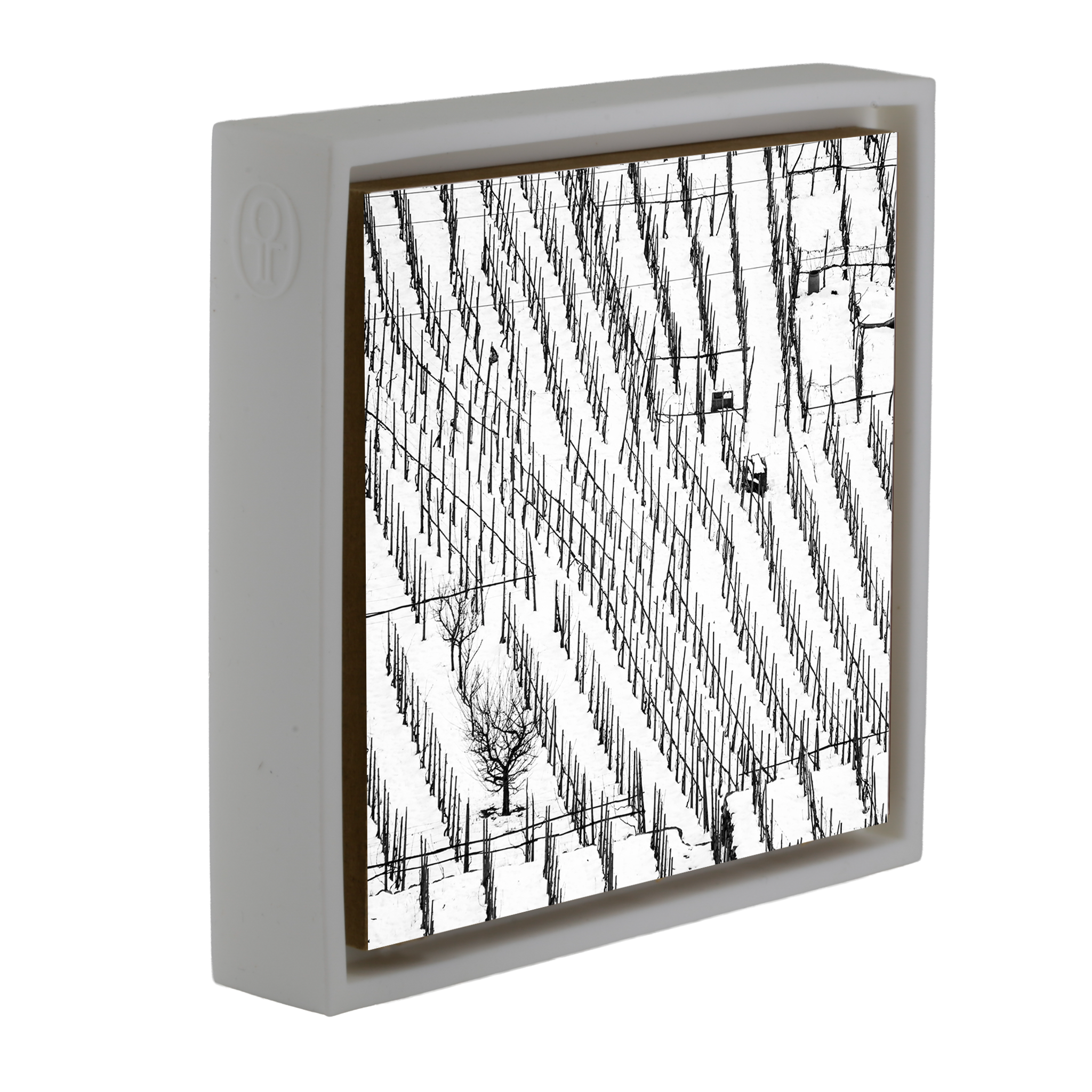 Winter Vineyards- White Wrapp