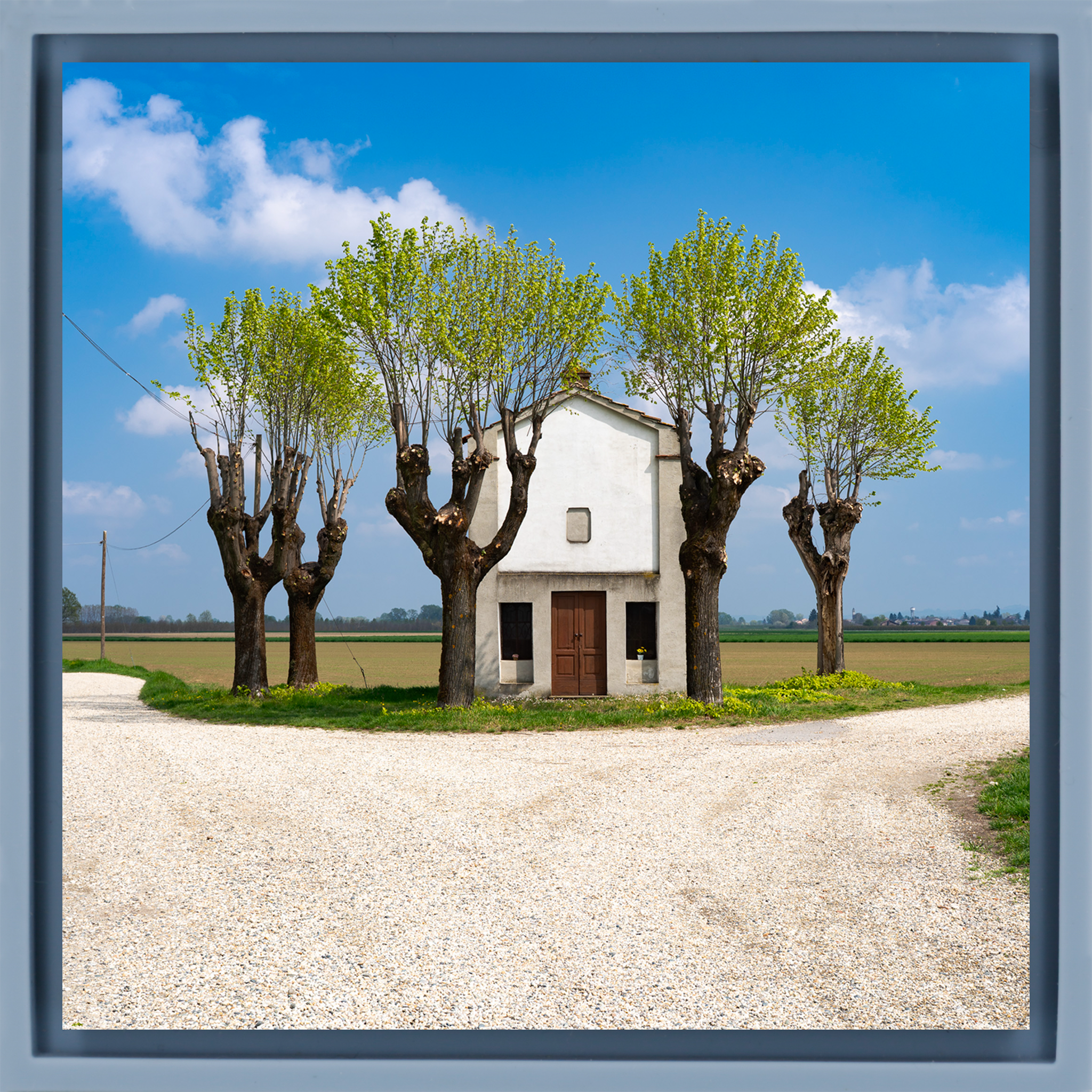 Spring Landscape- Light Blue Wrapp