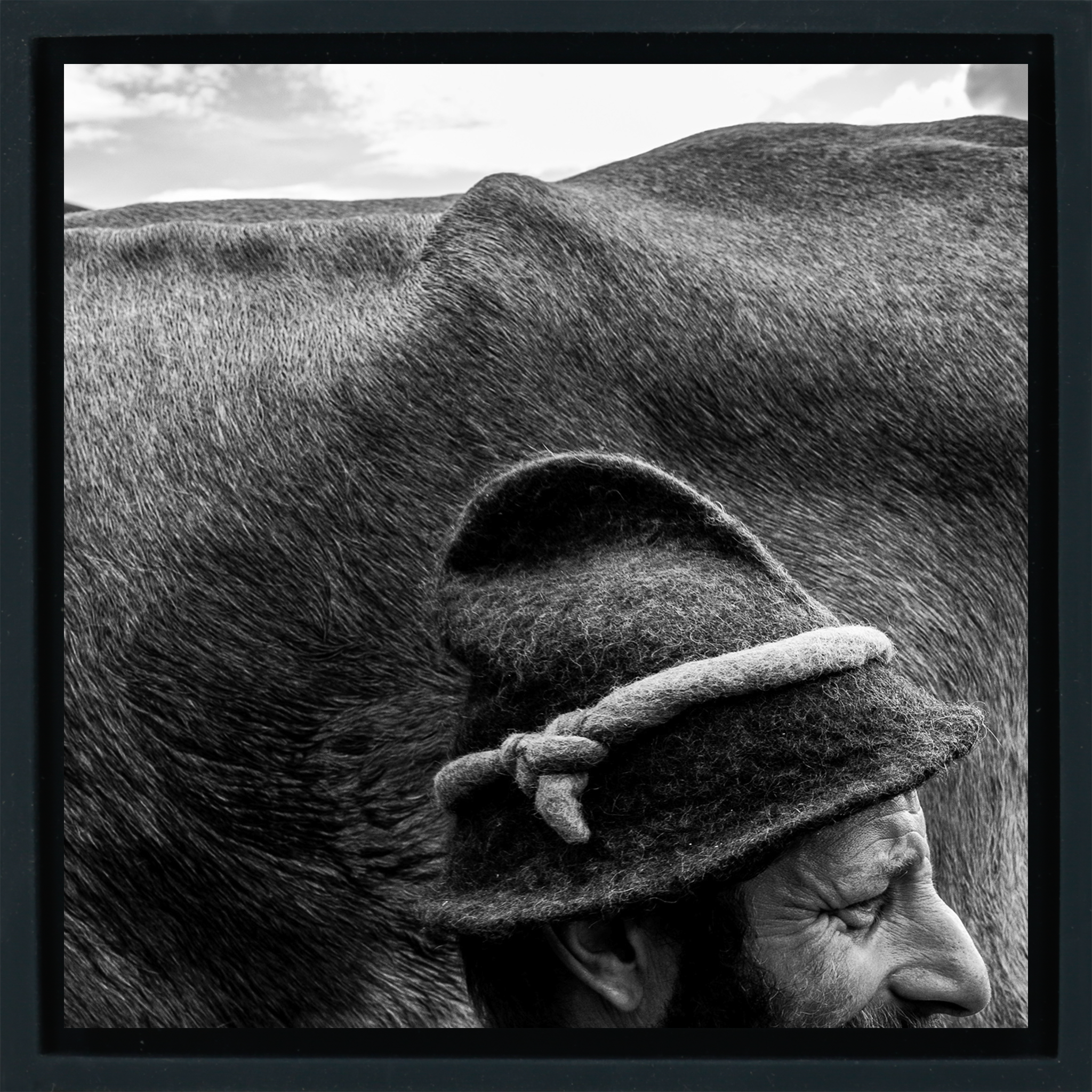 Alfio a Mountain Shepherd- Black Wrapp