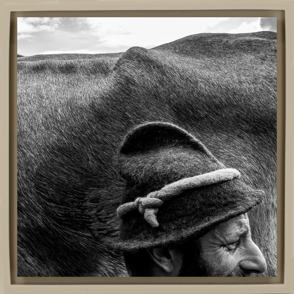 Alfio a Mountain Shepherd - Sand Wrapp