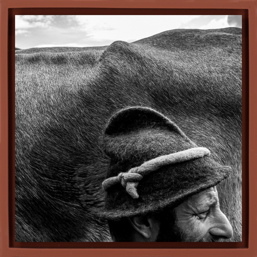 Alfio a Mountain Shepherd - Terra Wrapp
