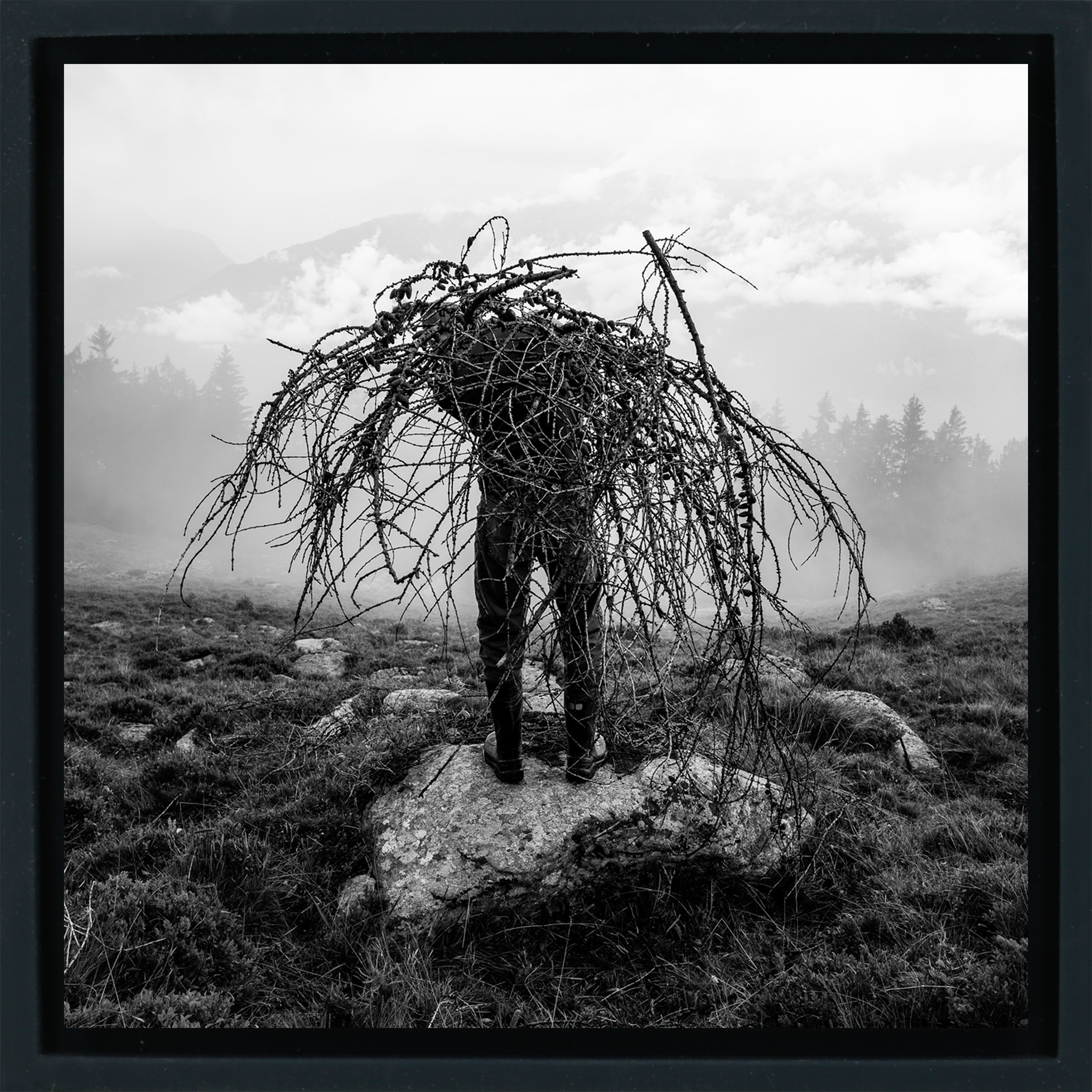 Mountain Pasture- Black Wrapp