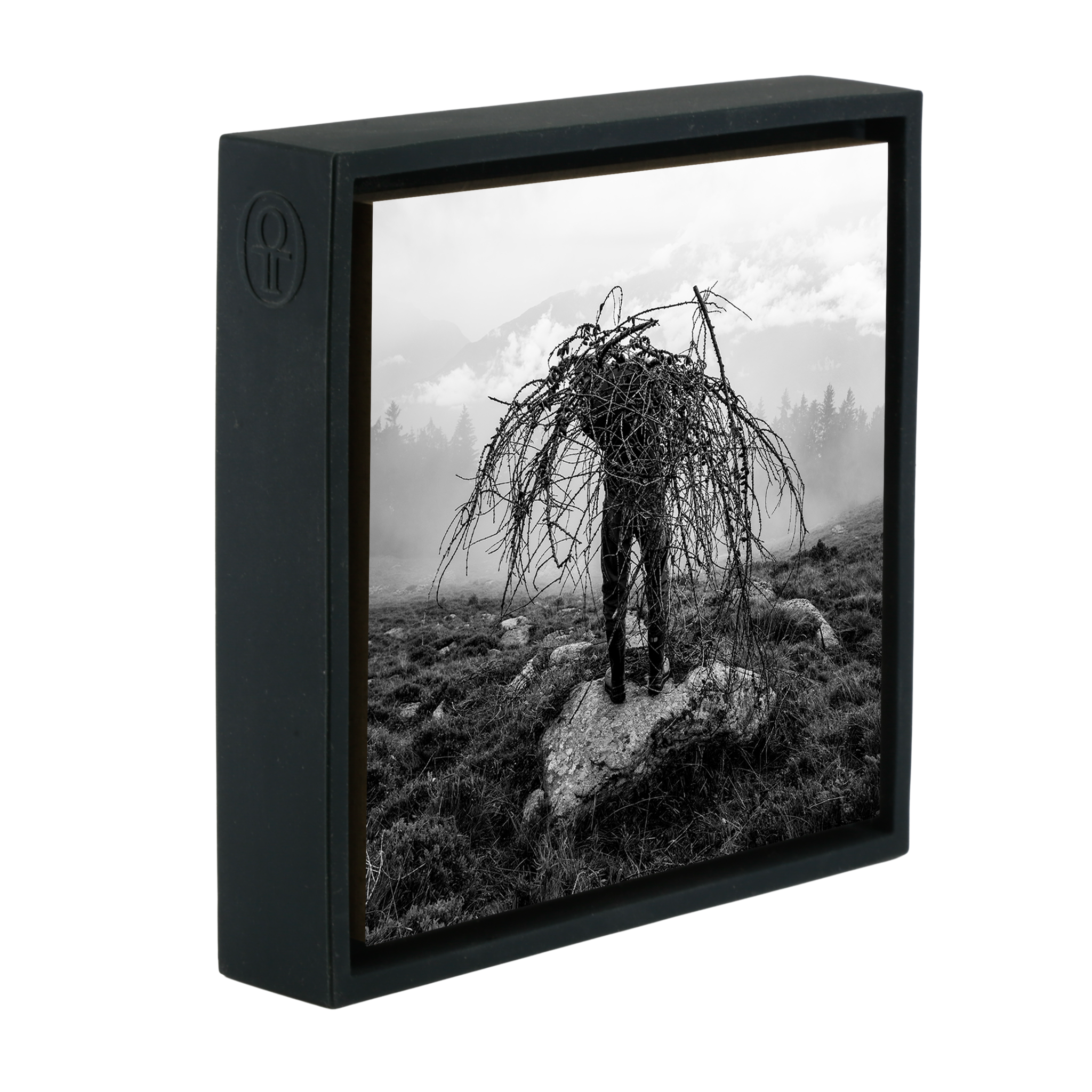 Mountain Pasture- Black Wrapp