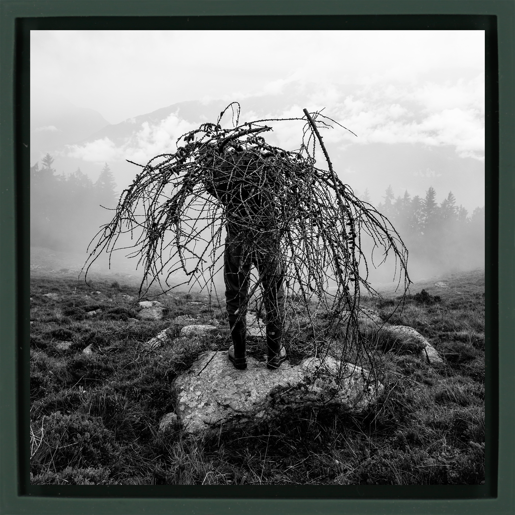 Mountain Pasture- Dark Green Wrapp