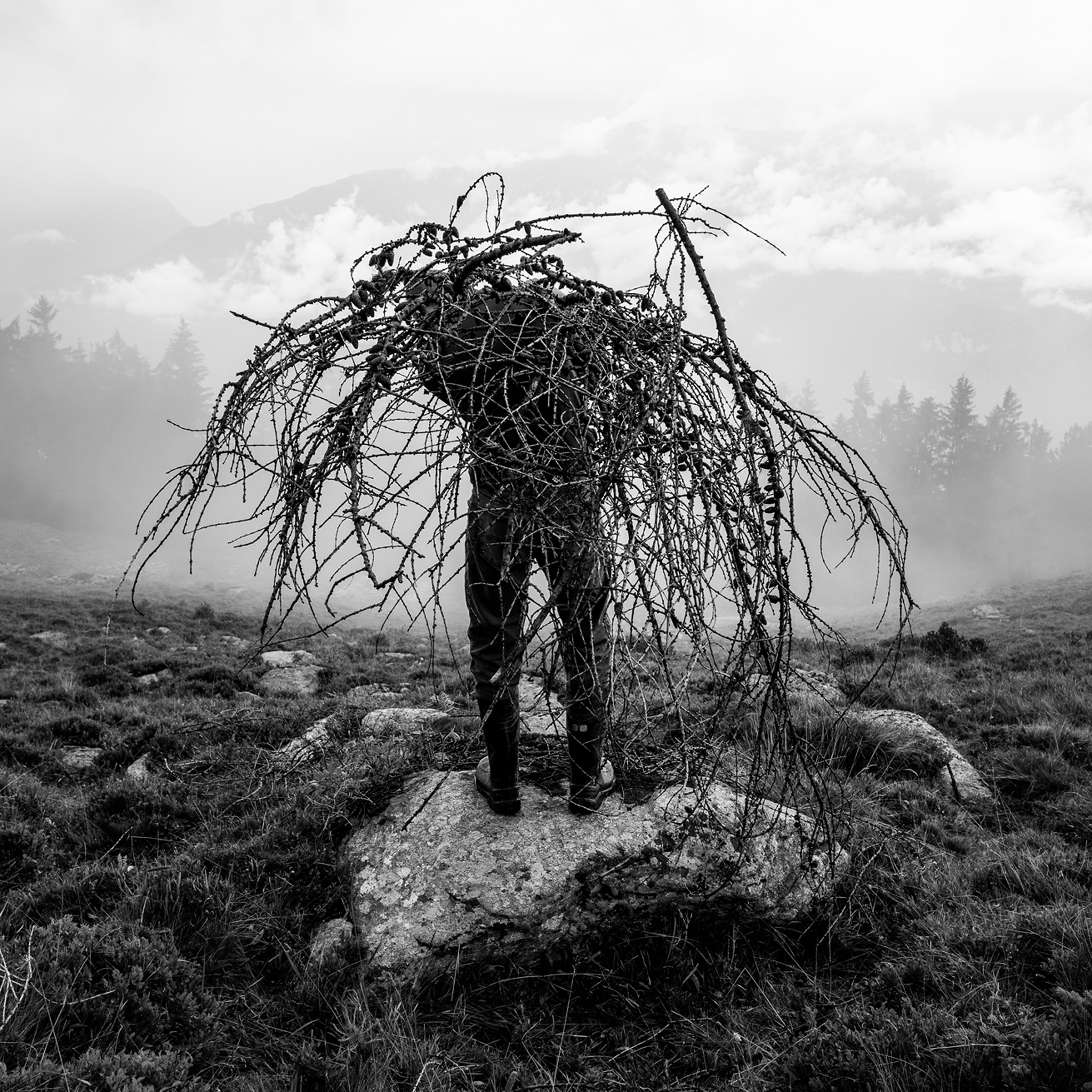 Mountain Pasture- Collection: Italy