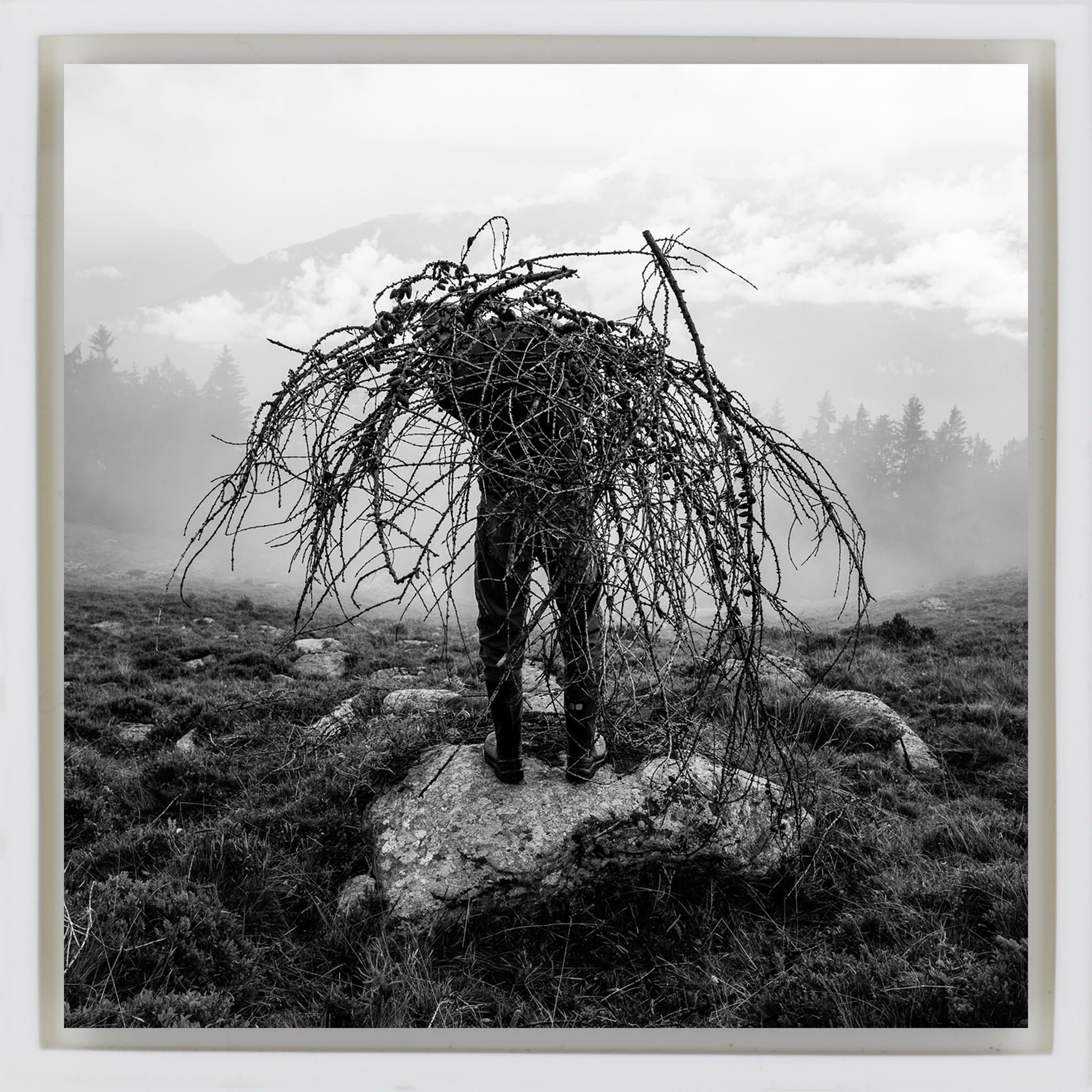 Mountain Pasture- White Wrapp