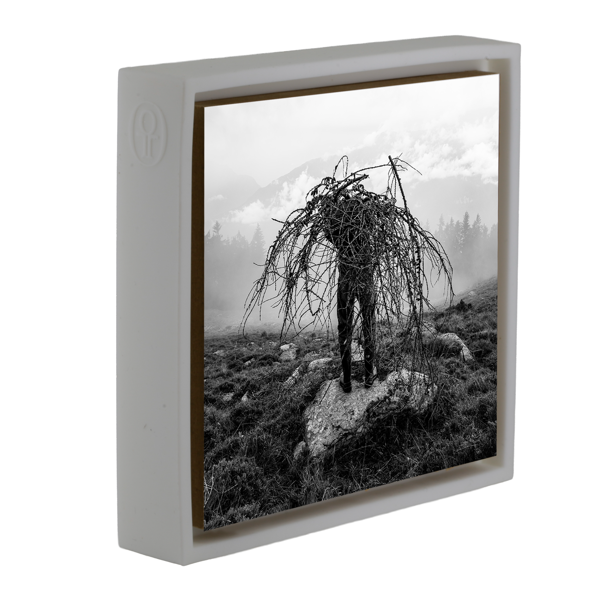 Mountain Pasture- White Wrapp