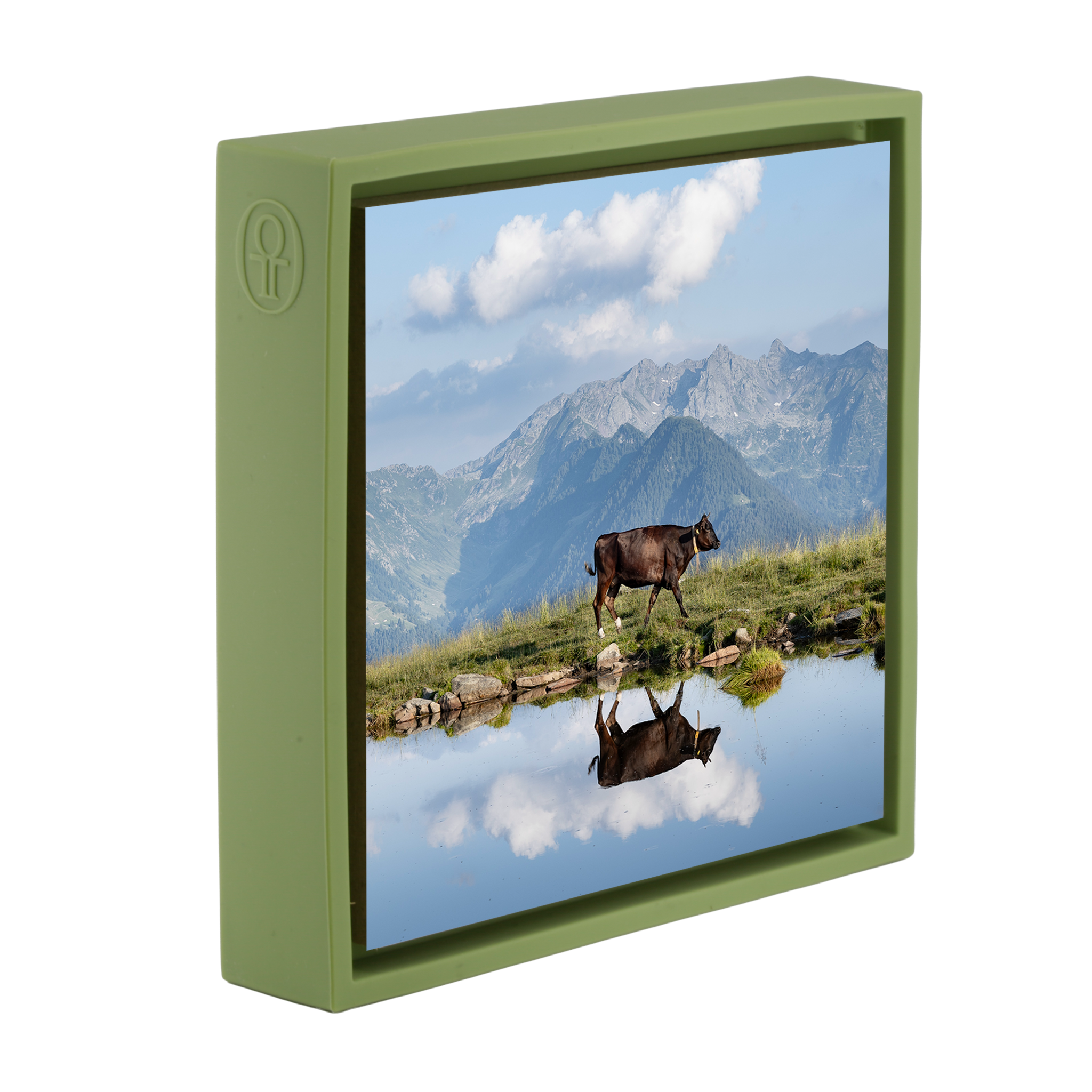Cow Above the Clouds- Light Green Wrapp