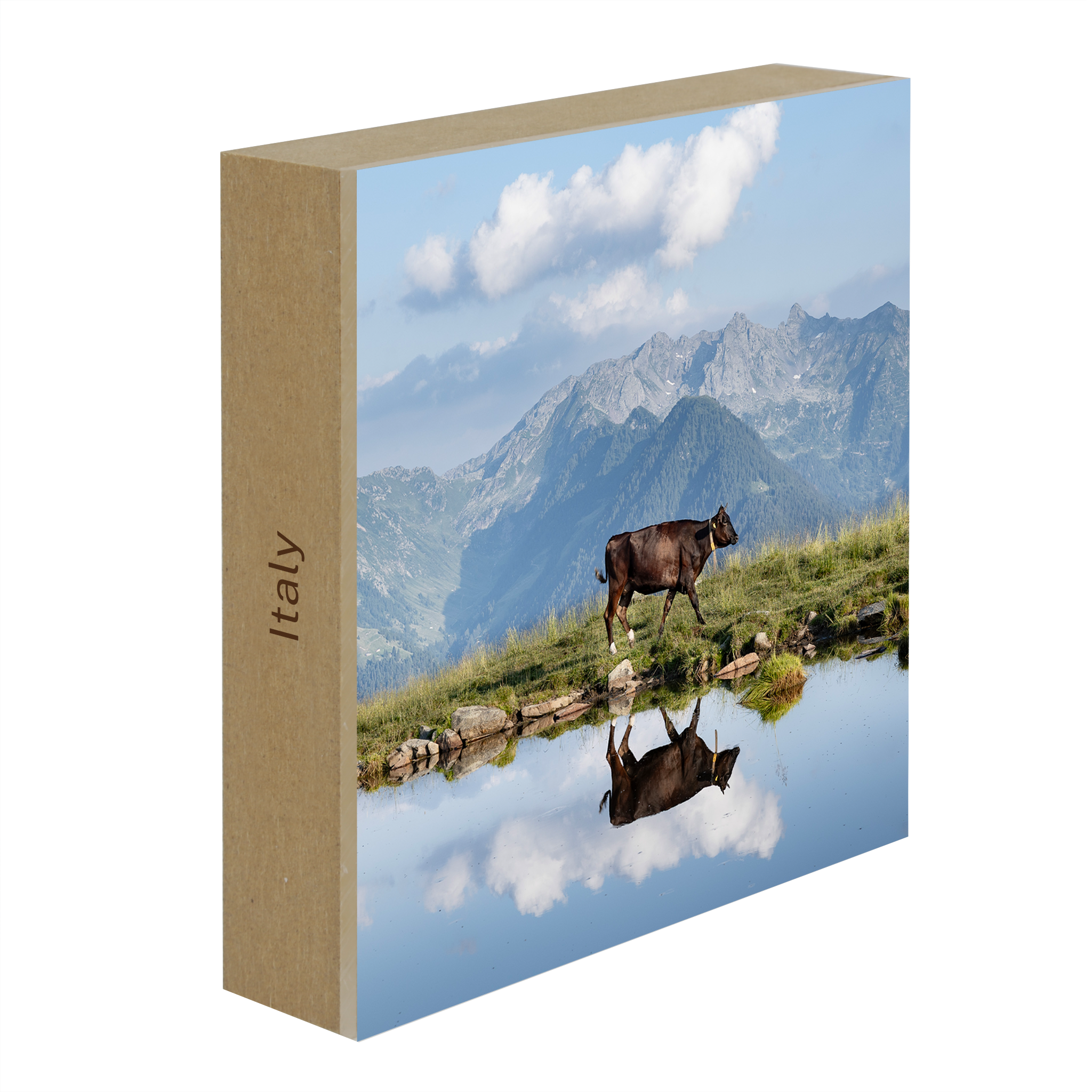 Cow Above the Clouds- Collection: Italy