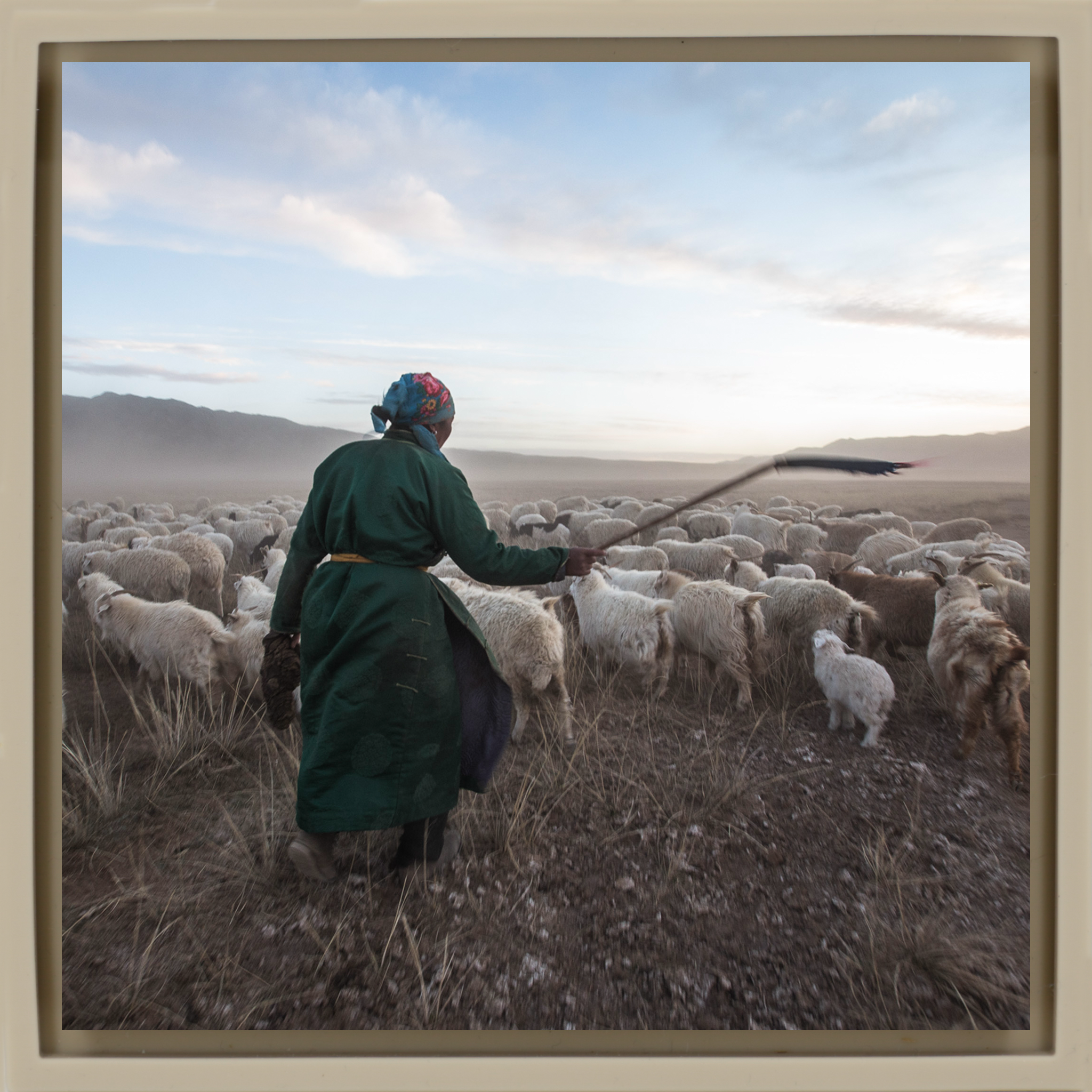 Shepherd with his Goats - Zandkleurige Wrapp