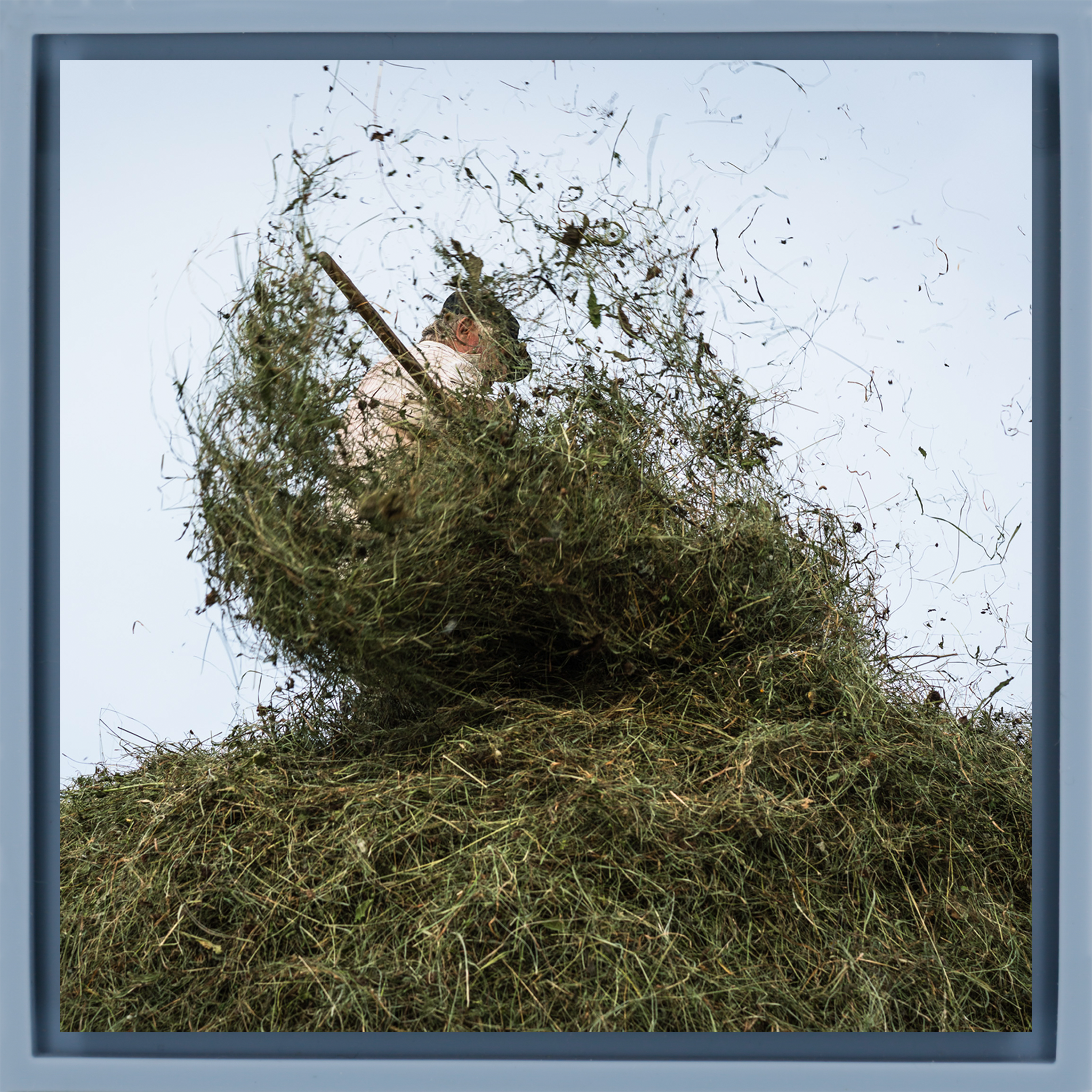 Hay Season- Light Blue Wrapp