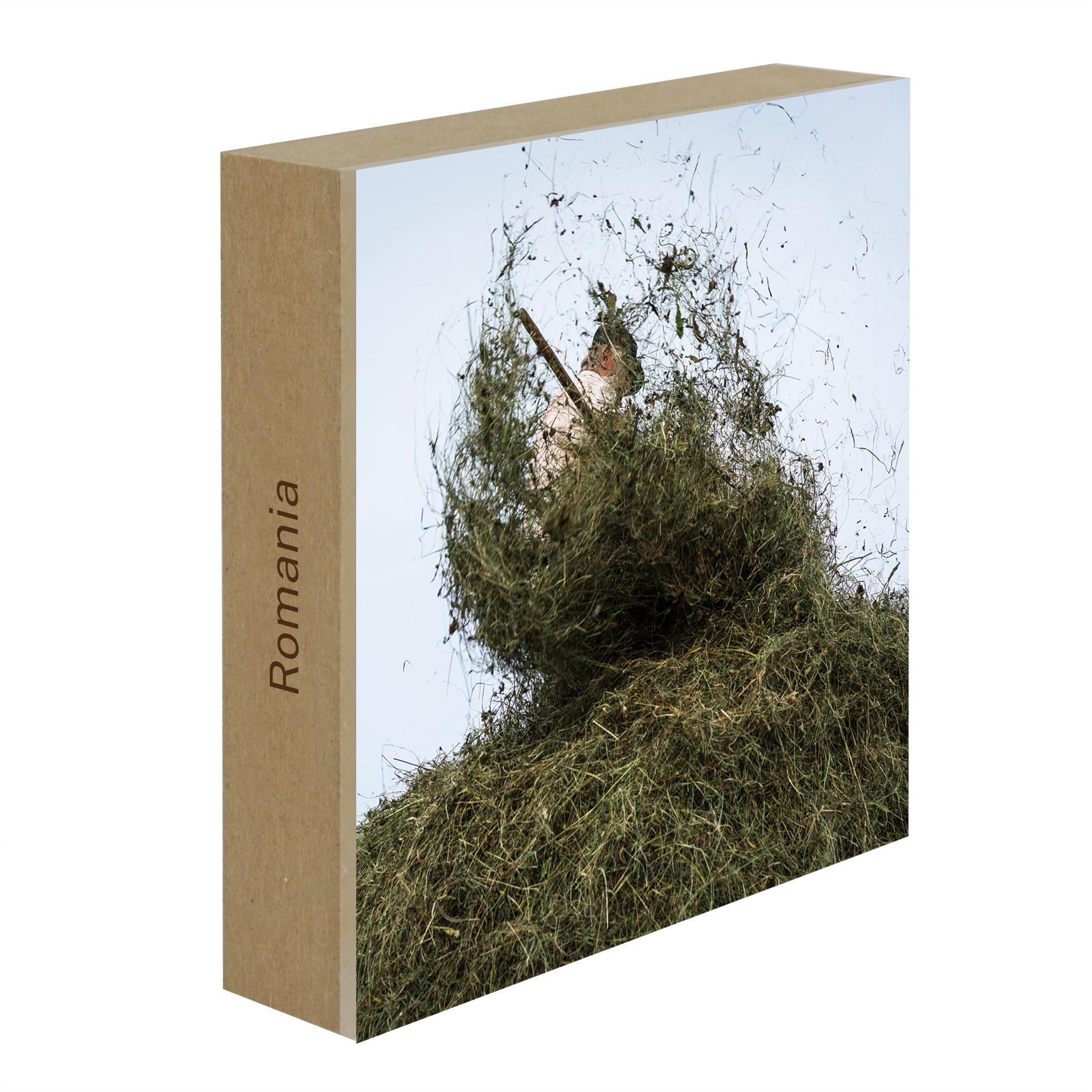 Hay Season- Collection: Romania