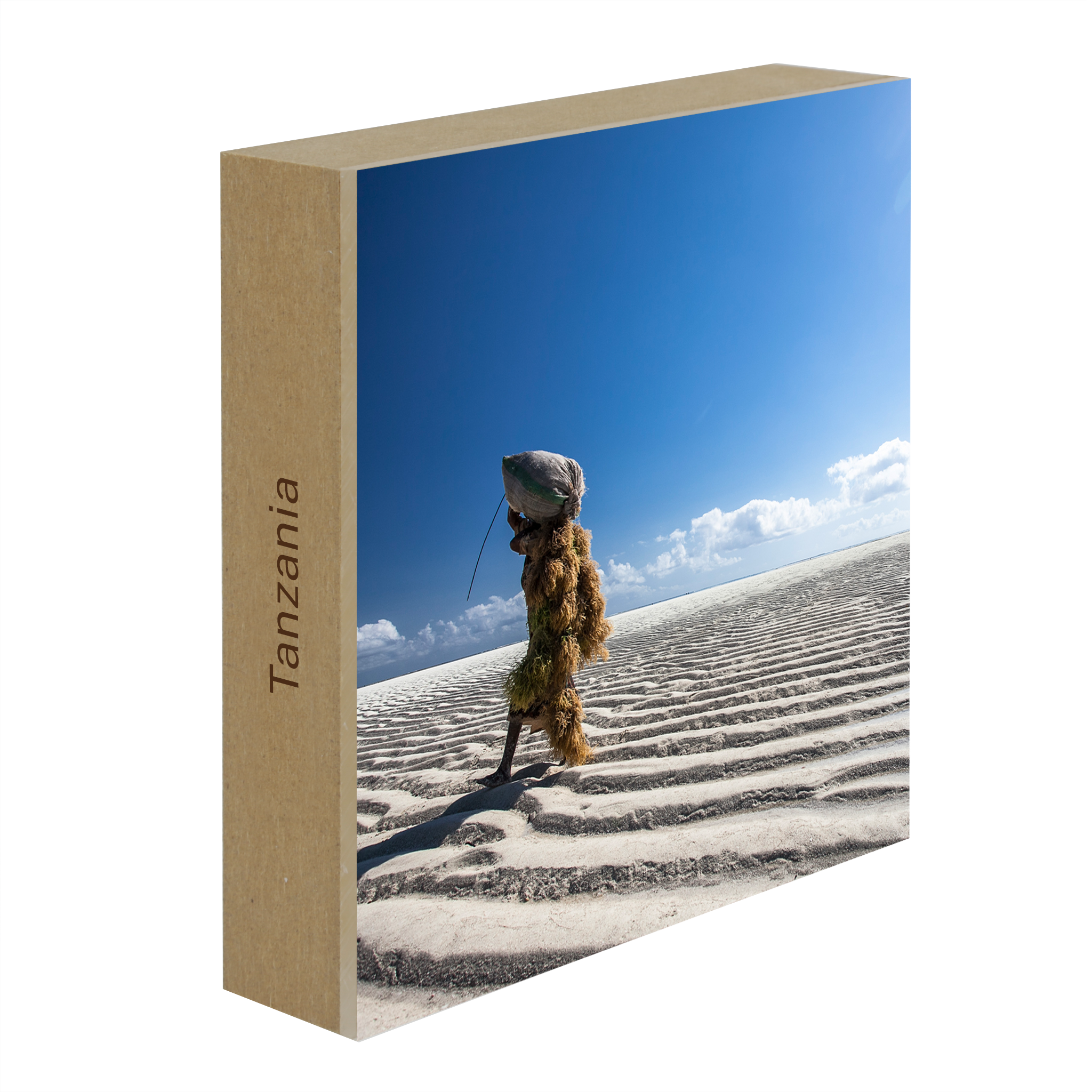 Seaweed Harvesters- Collection: Tanzania