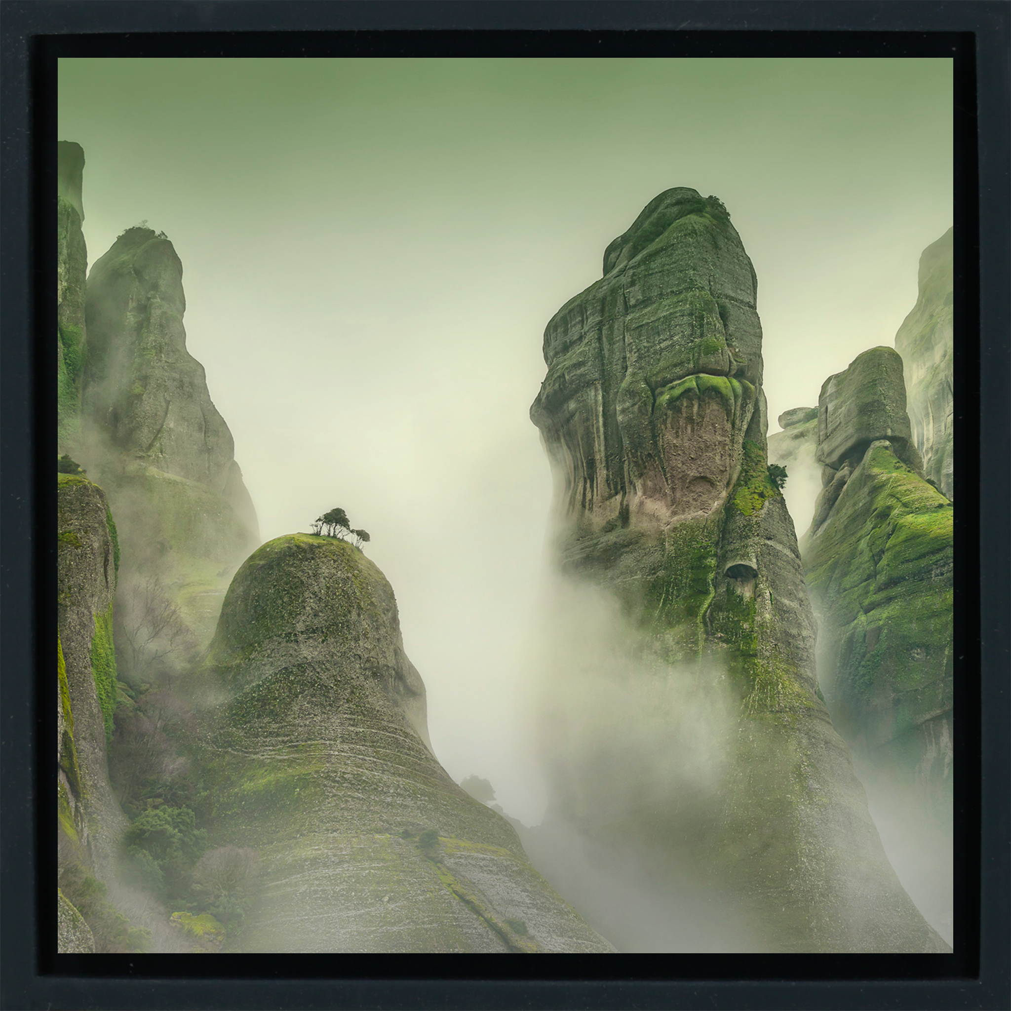 Meteora Mist- Black Wrapp