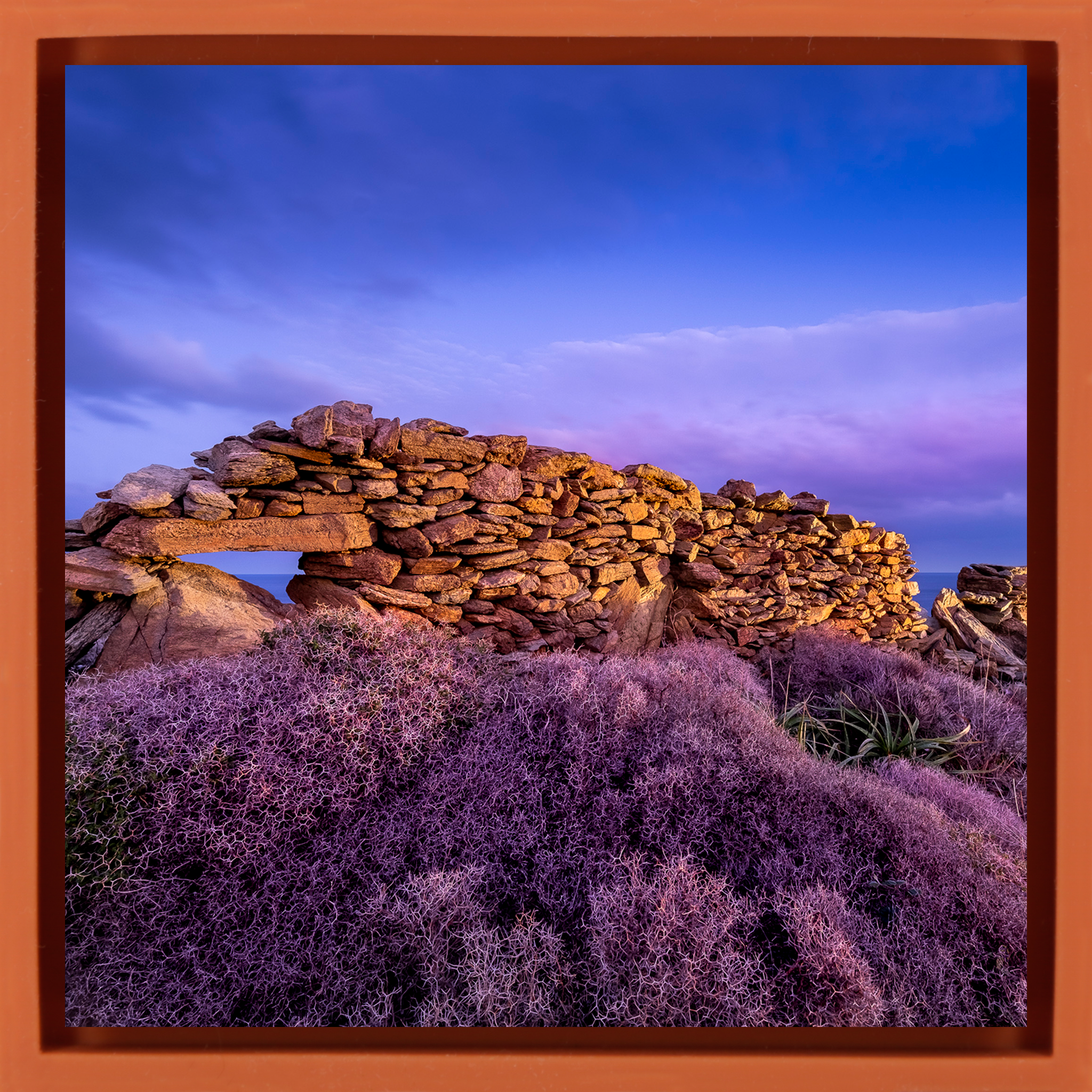 Violet Valleys- Orange Wrapp