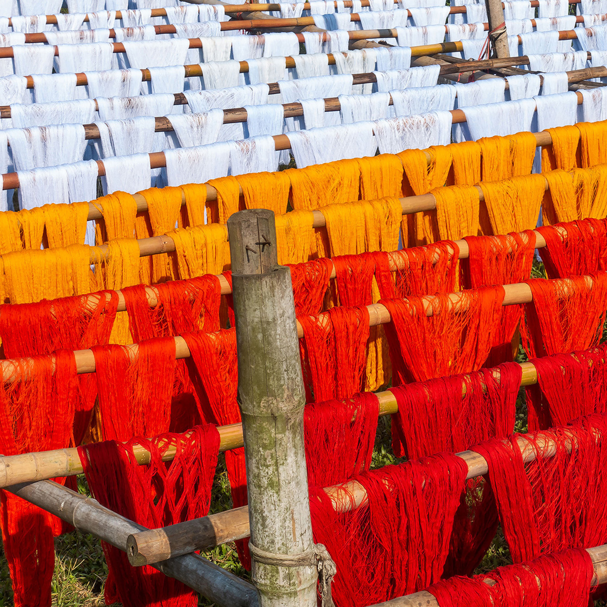Drying Fabrics - Collection: Bangladesh
