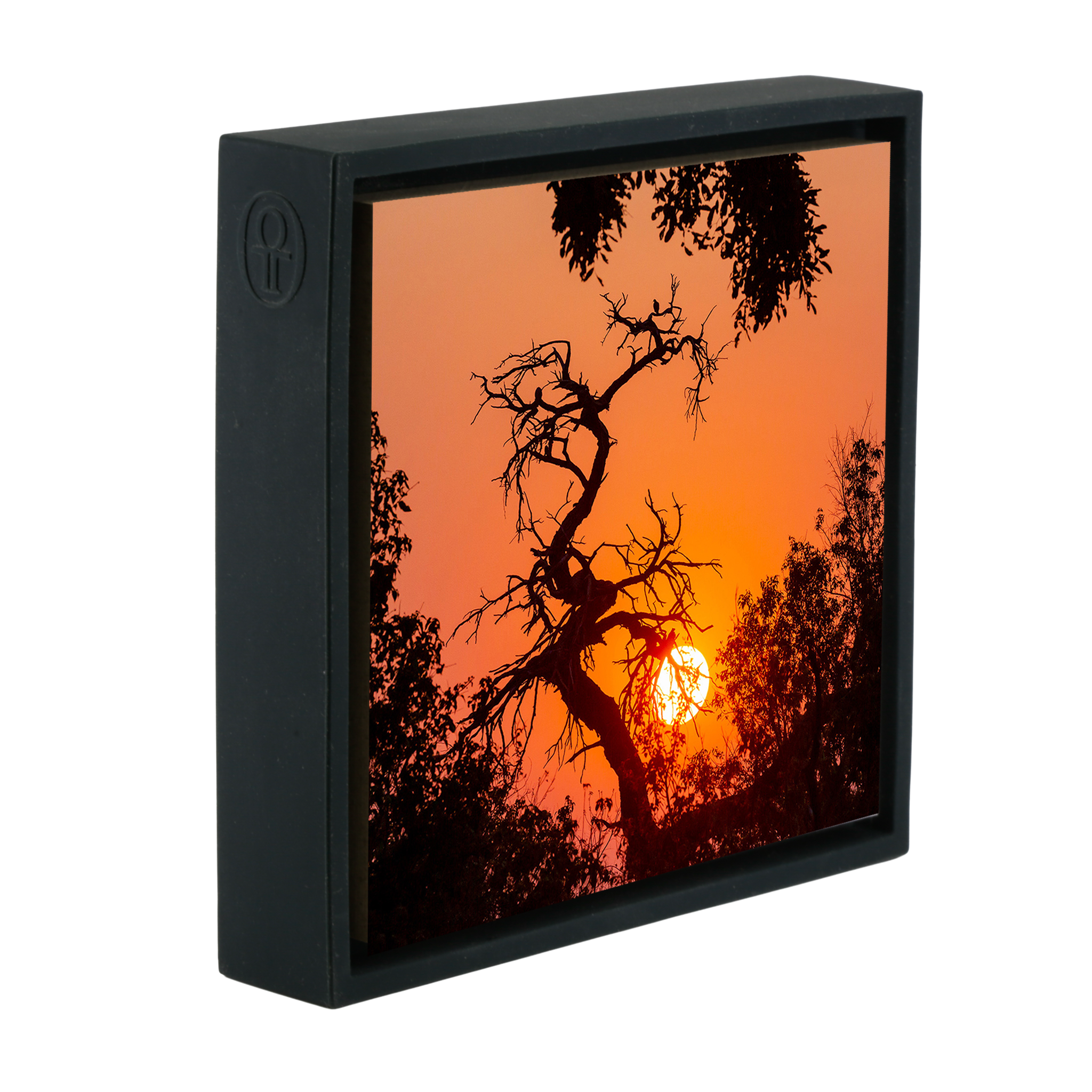 Sunset Tree - Zwarte Wrapp