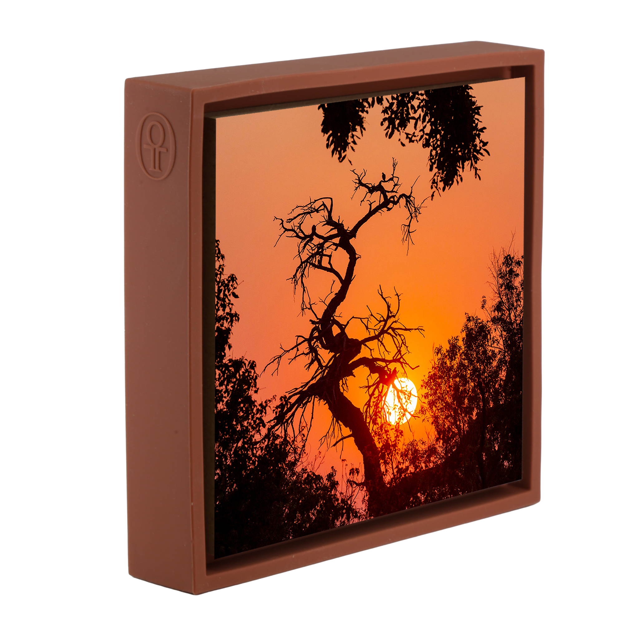 Sunset Tree - Terra Wrapp
