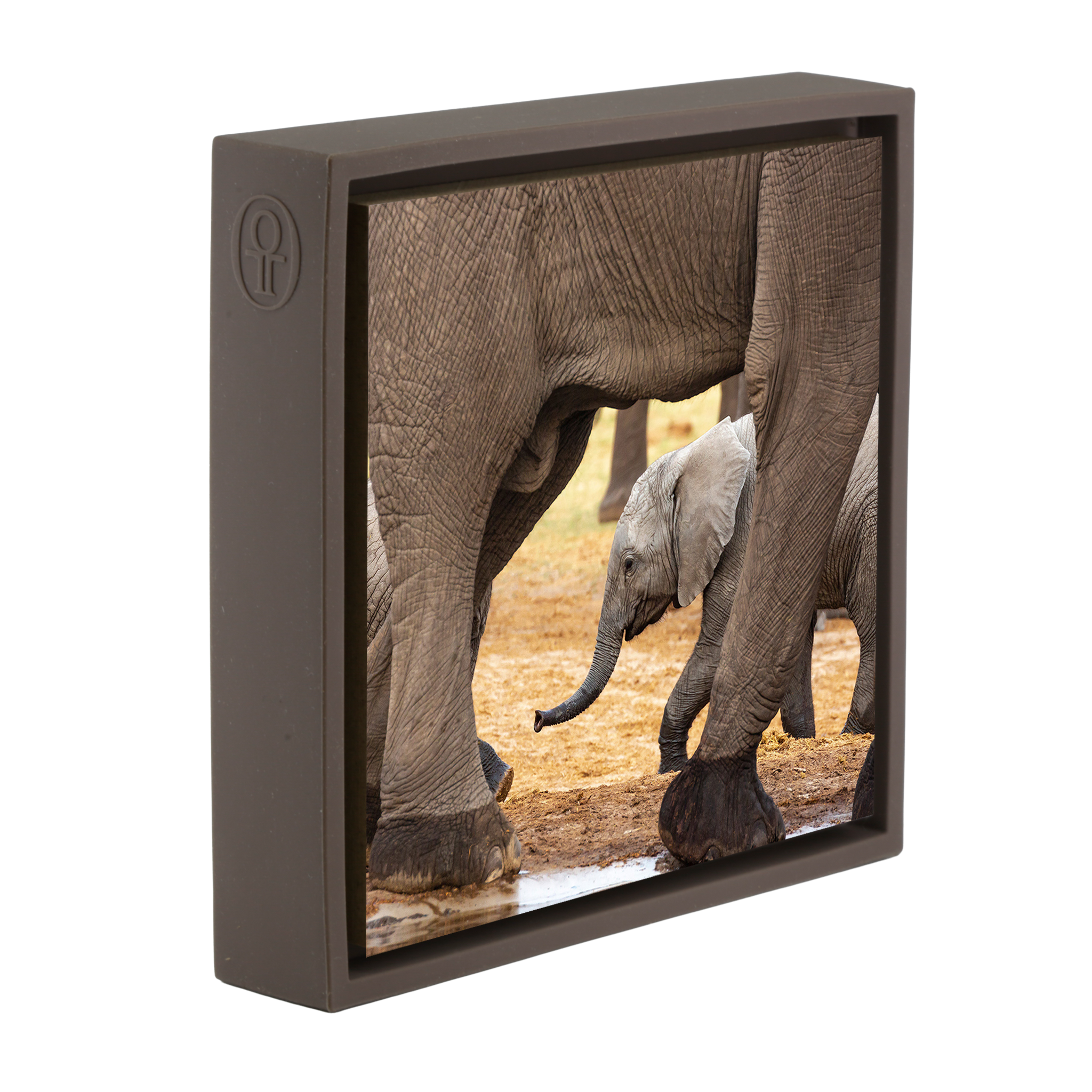 Elefanten - Braune Verpackung