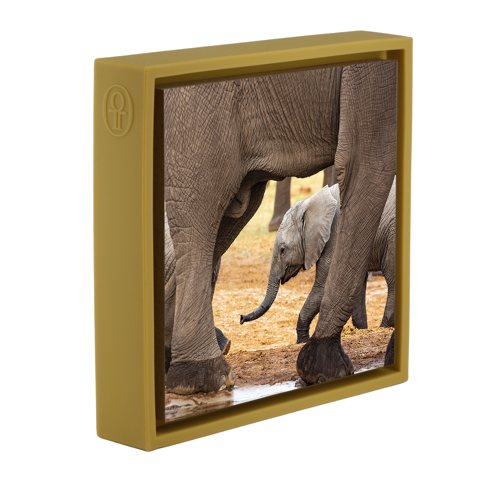 Elefanten - Ockerfarbene Verpackung