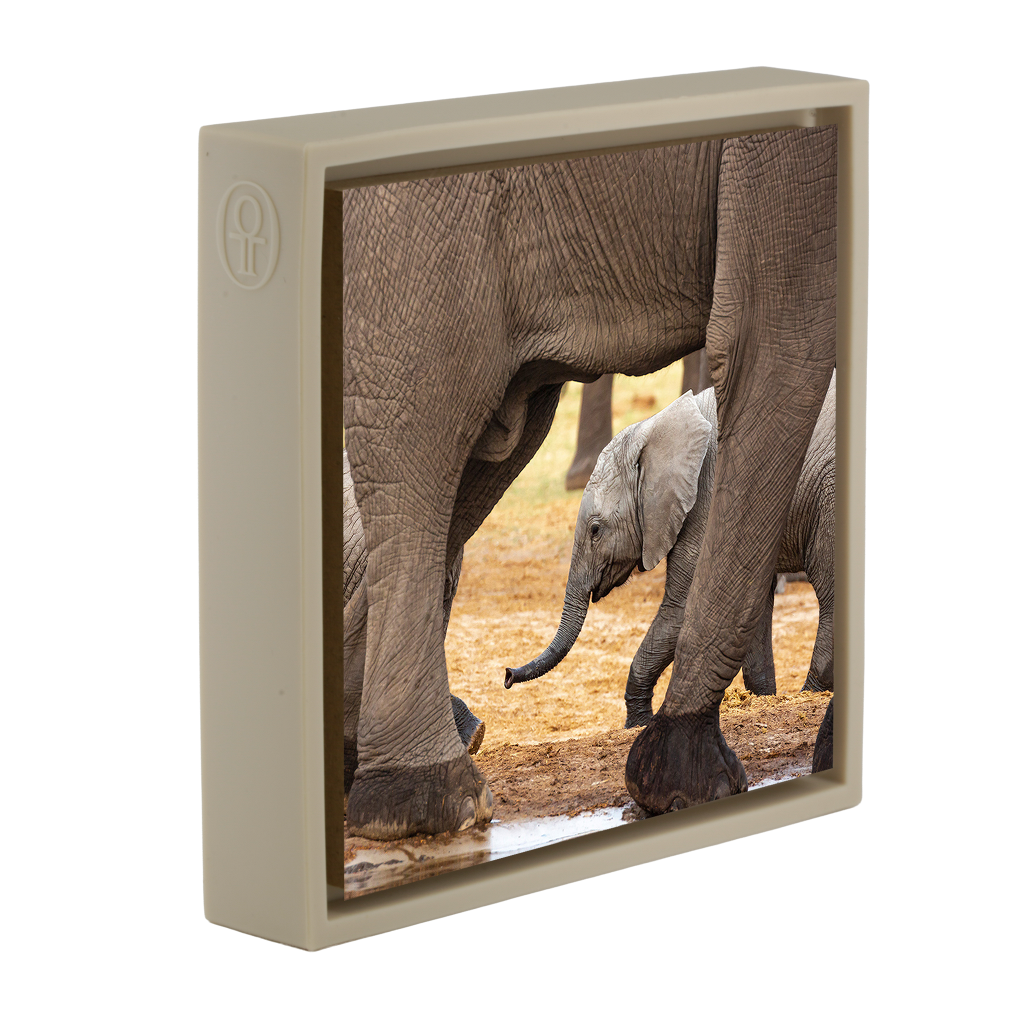 Elefanten - Sand Wrapp