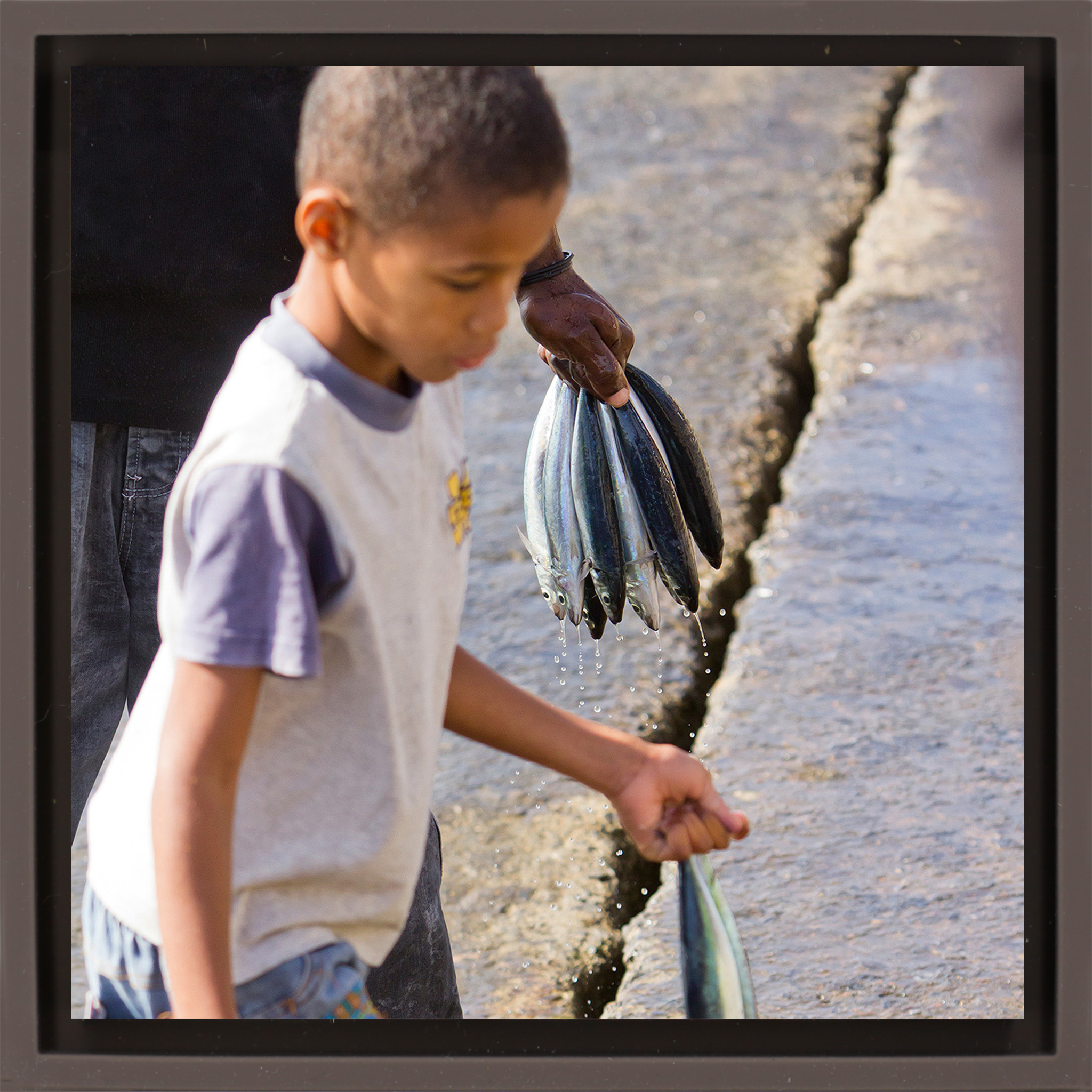 Fish Boy - Emballage brun