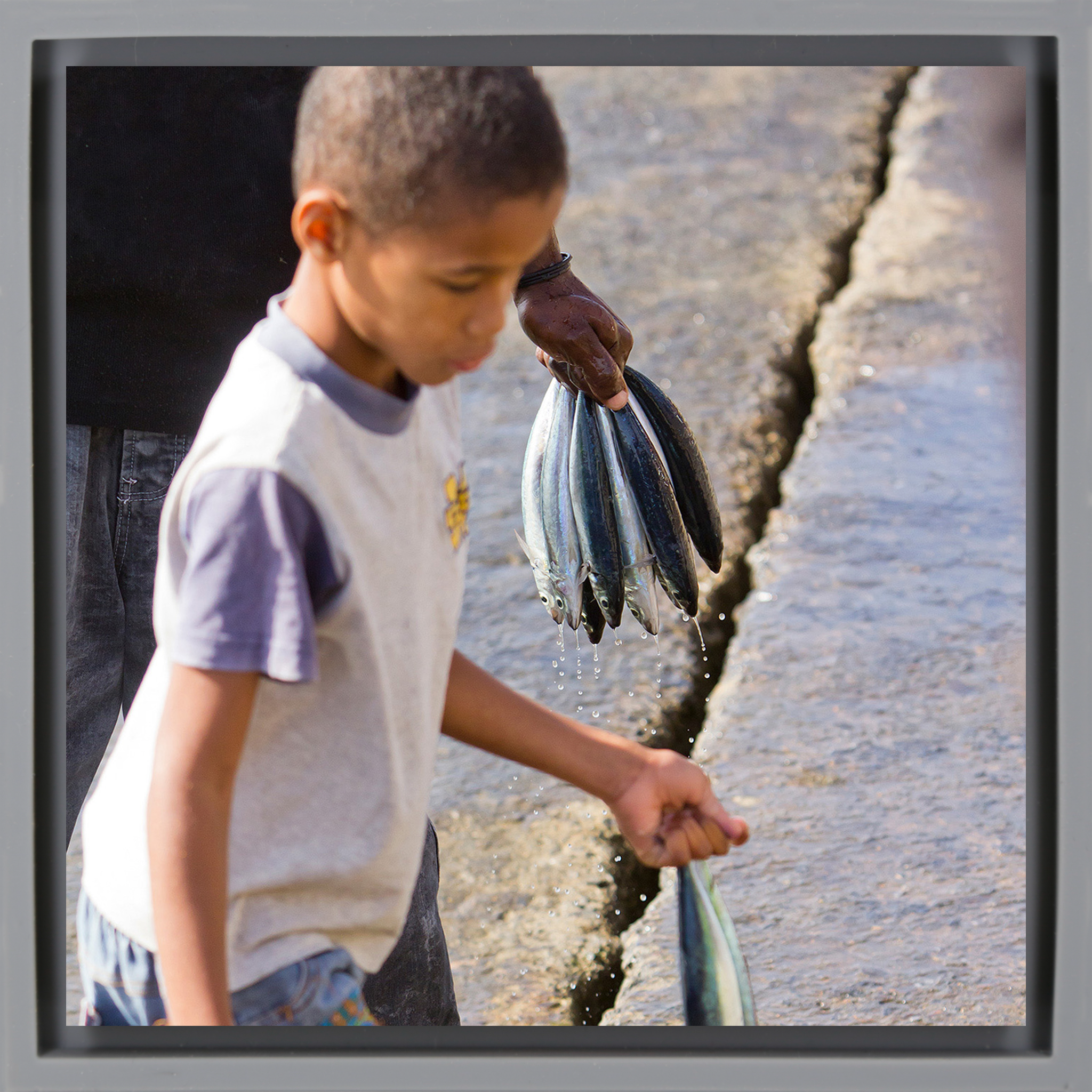 Fish Boy - Enveloppe grise