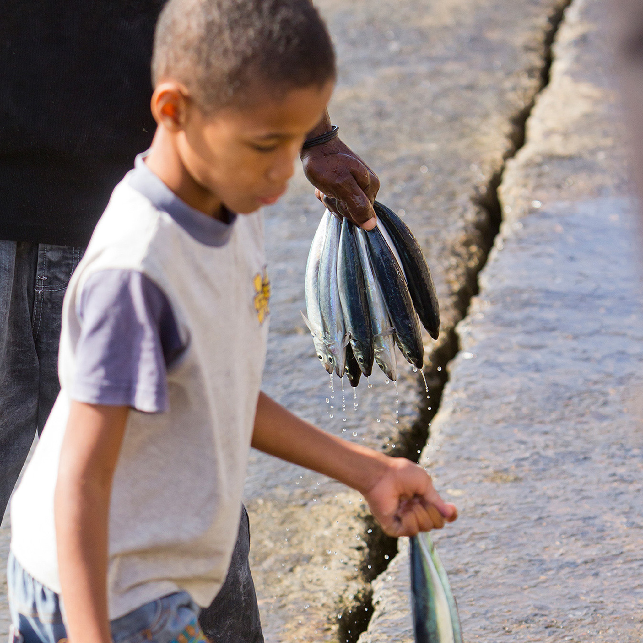 Fish Boy - Collection : Cabo Verde