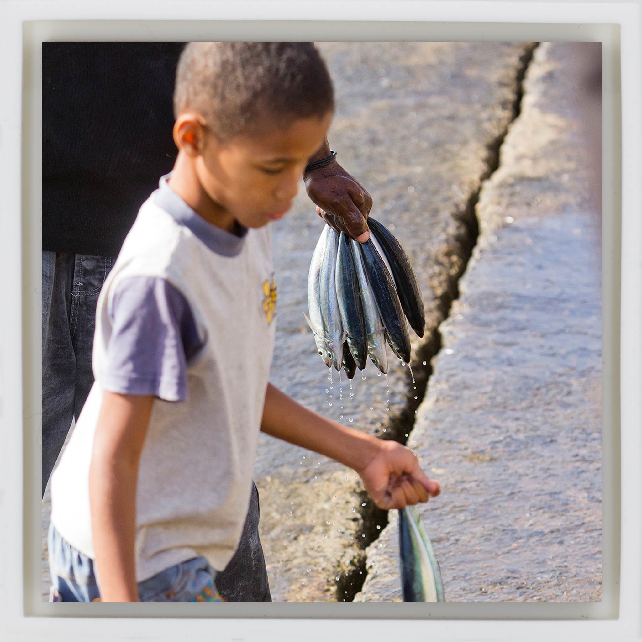 Fish Boy - White Wrapp