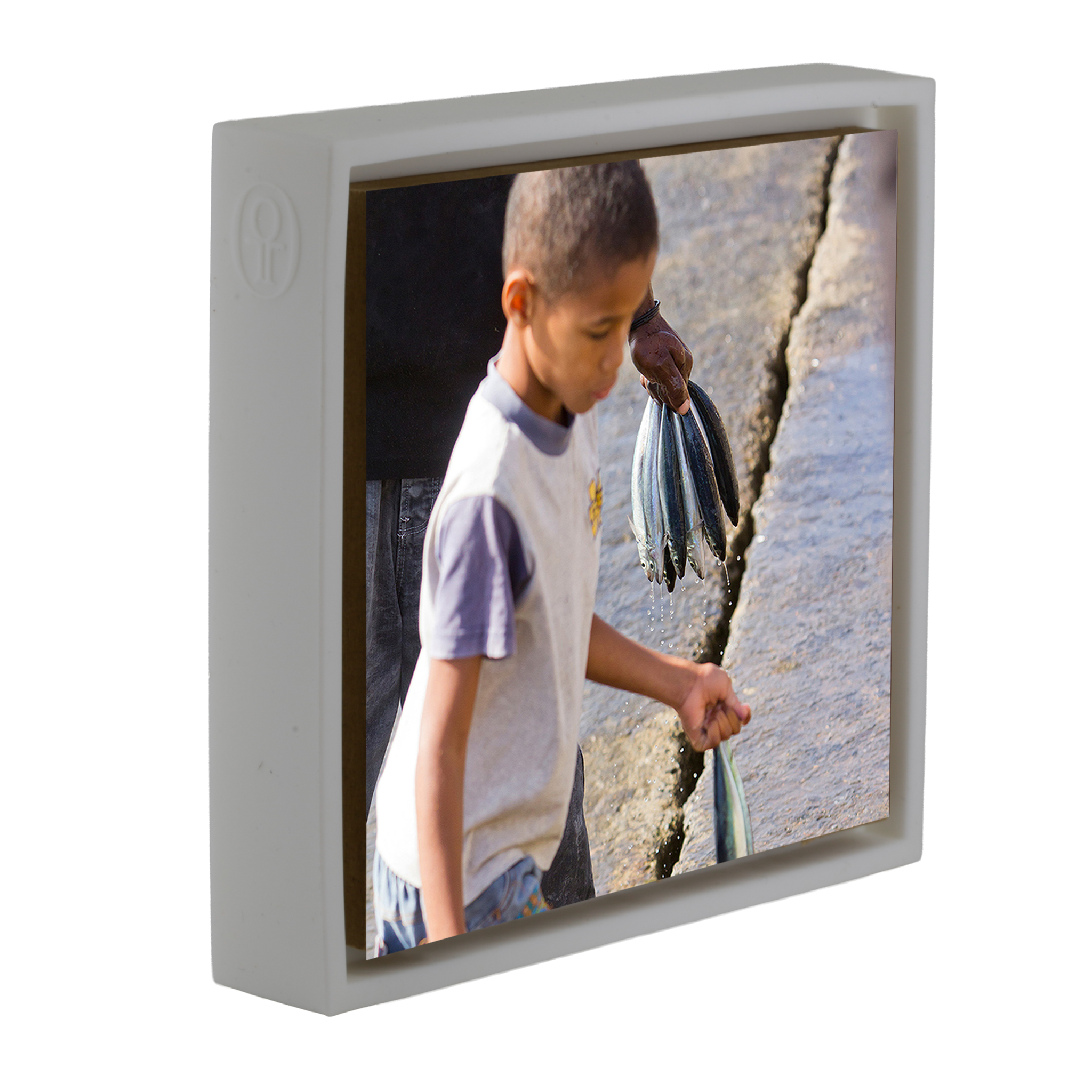 Fish Boy - White Wrapp