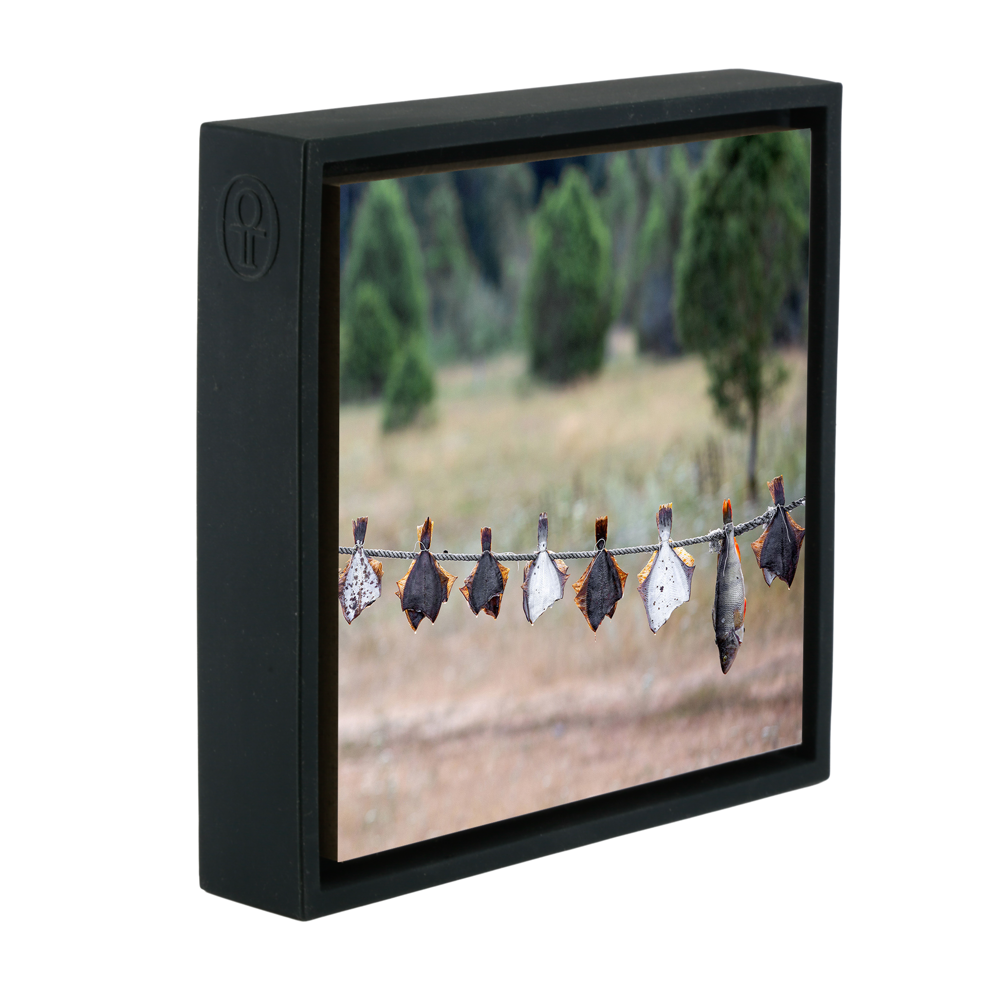 Drying Fish - Zwarte Wrapp