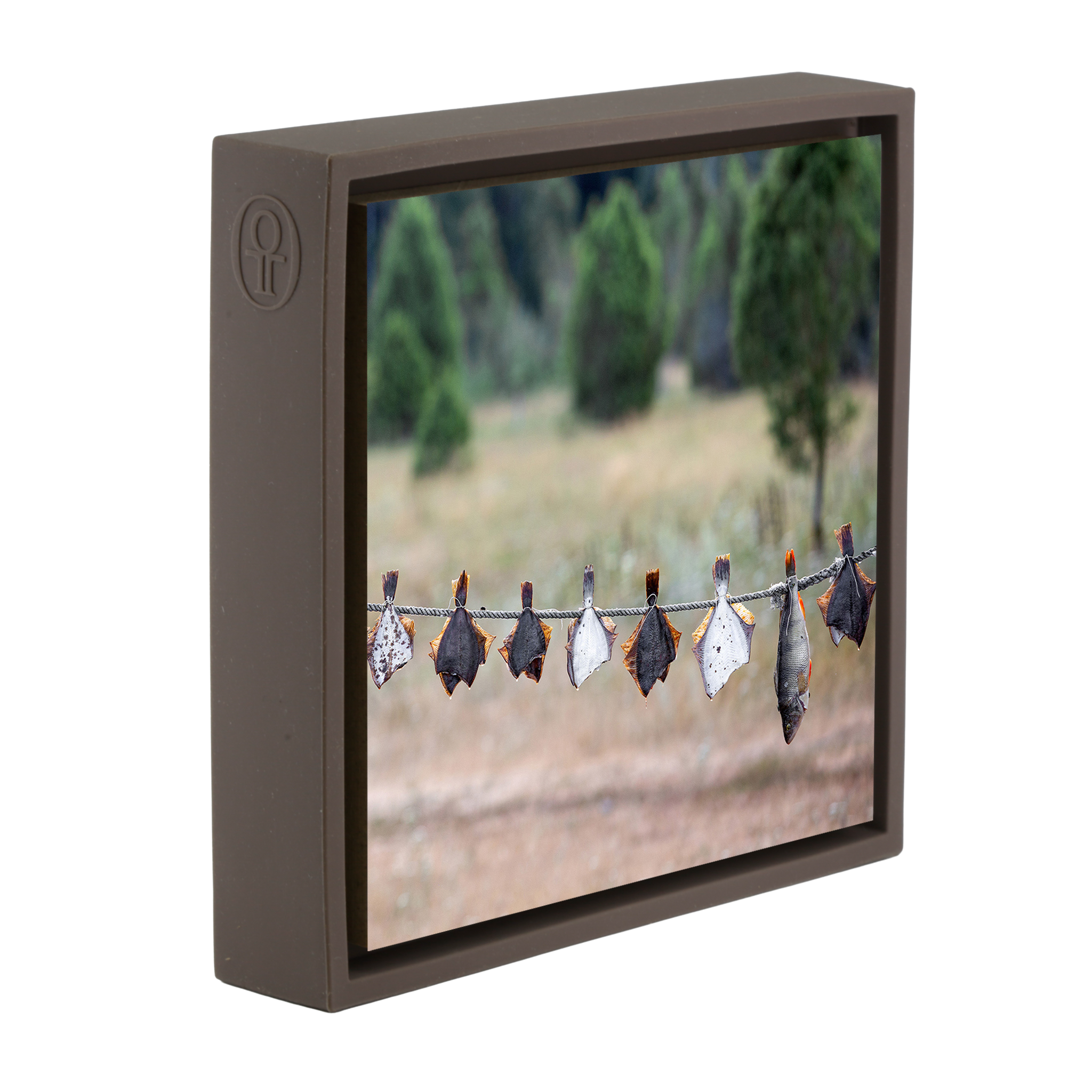 Drying Fish - Bruine Wrapp