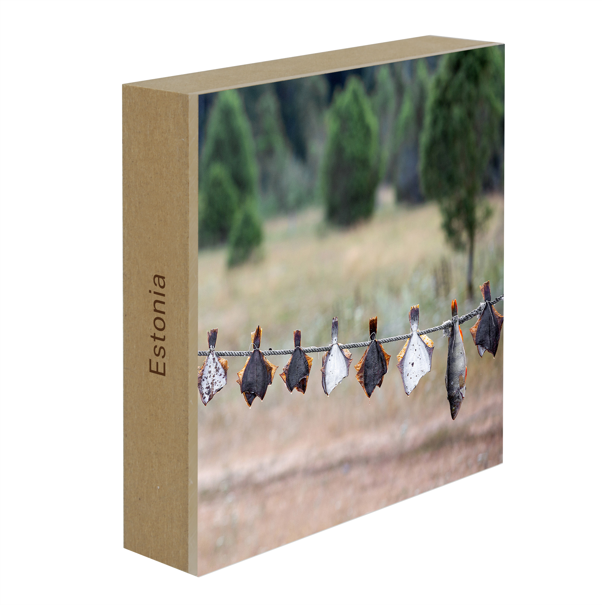 Drying Fish - Collection: Estonia