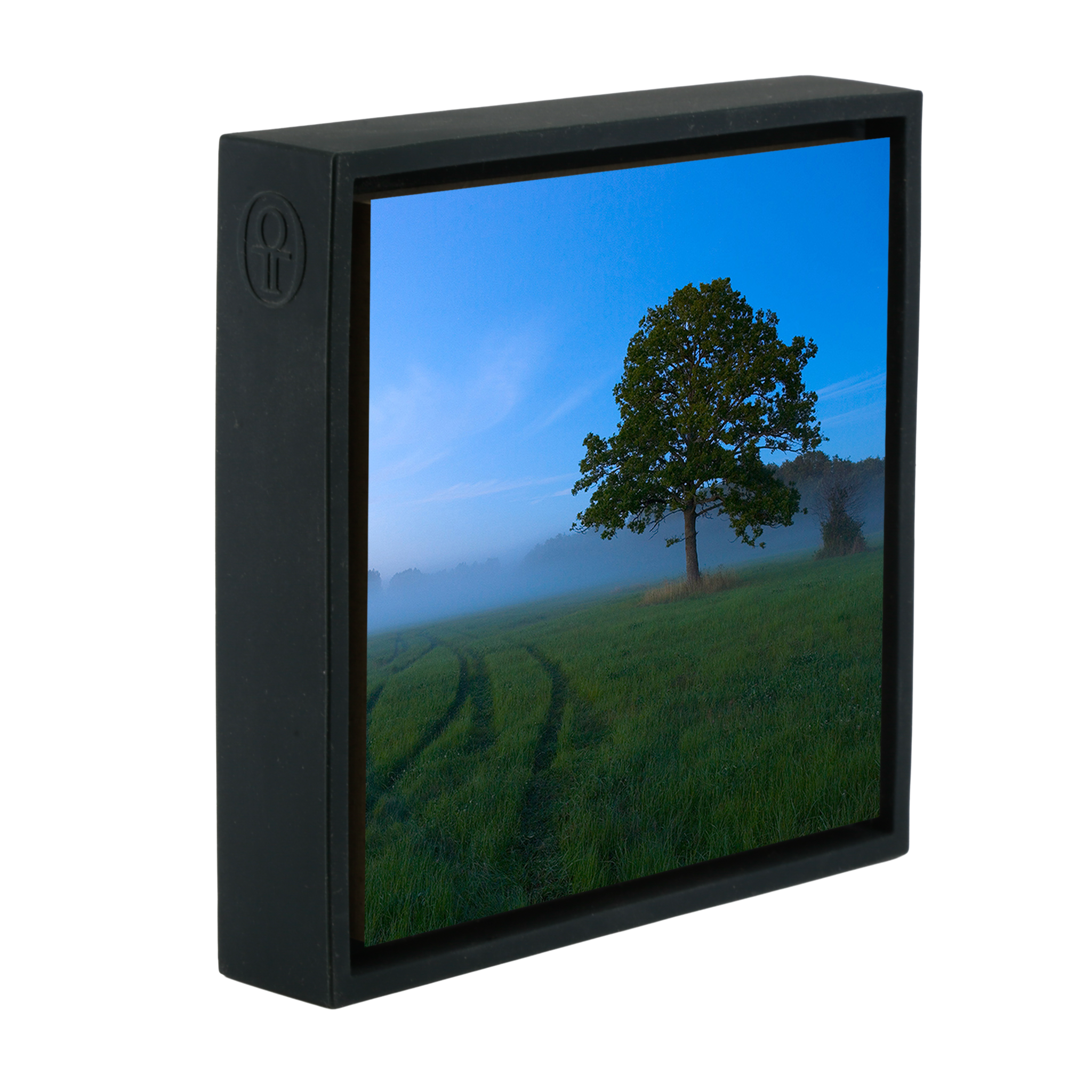 White Nights - Black Wrapp