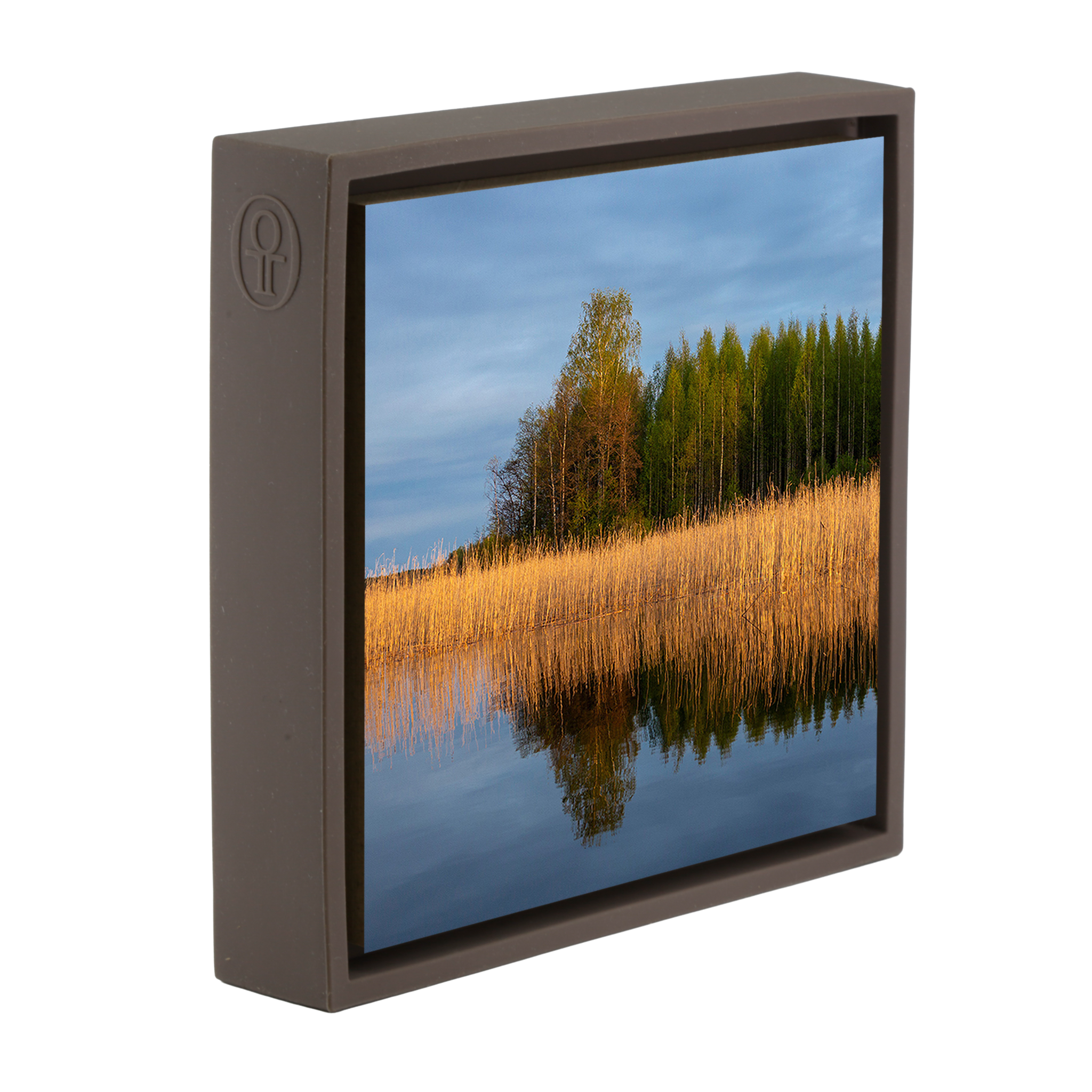 Reedbed - Brown Wrapp