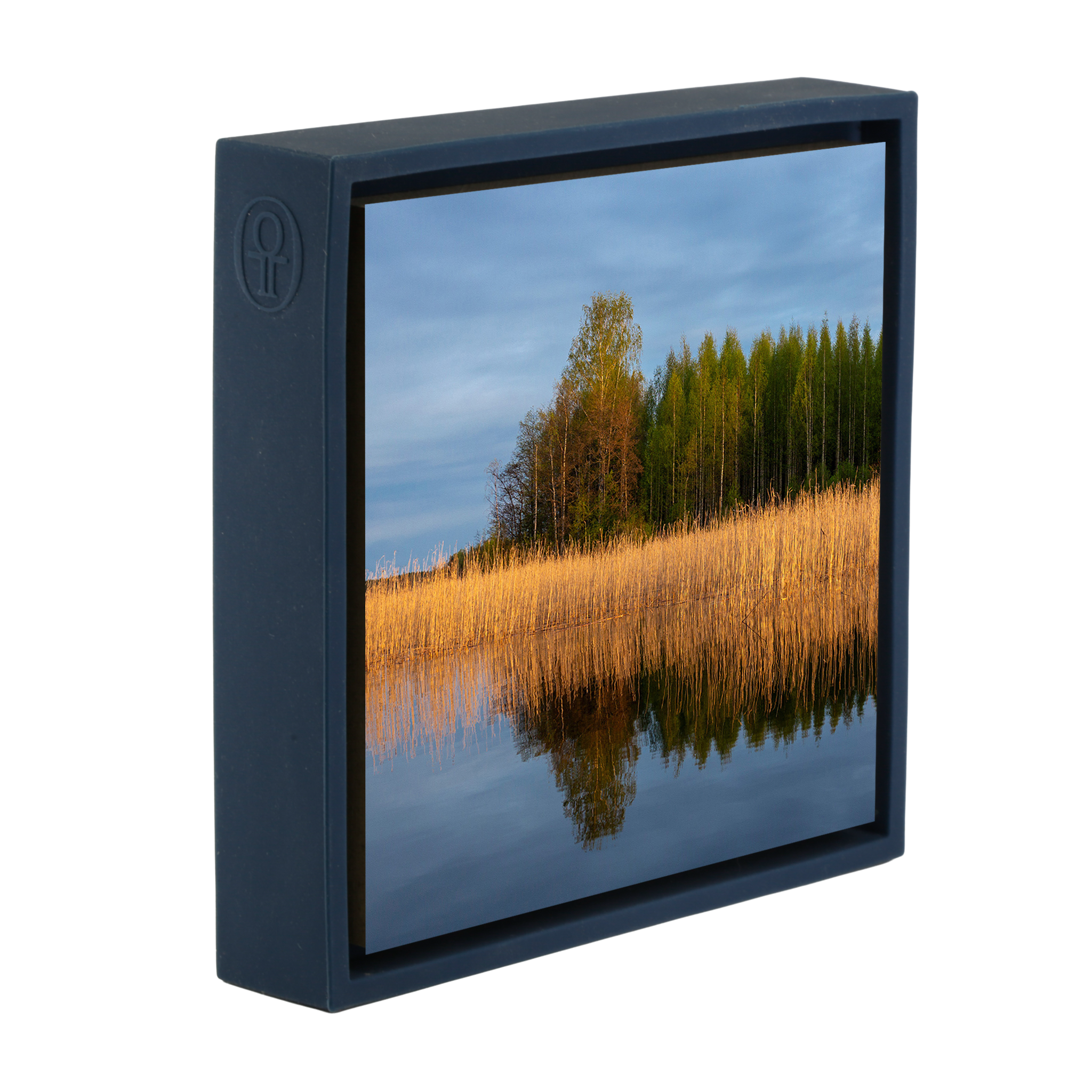 Schilfbett - Dunkelblaue Verpackung